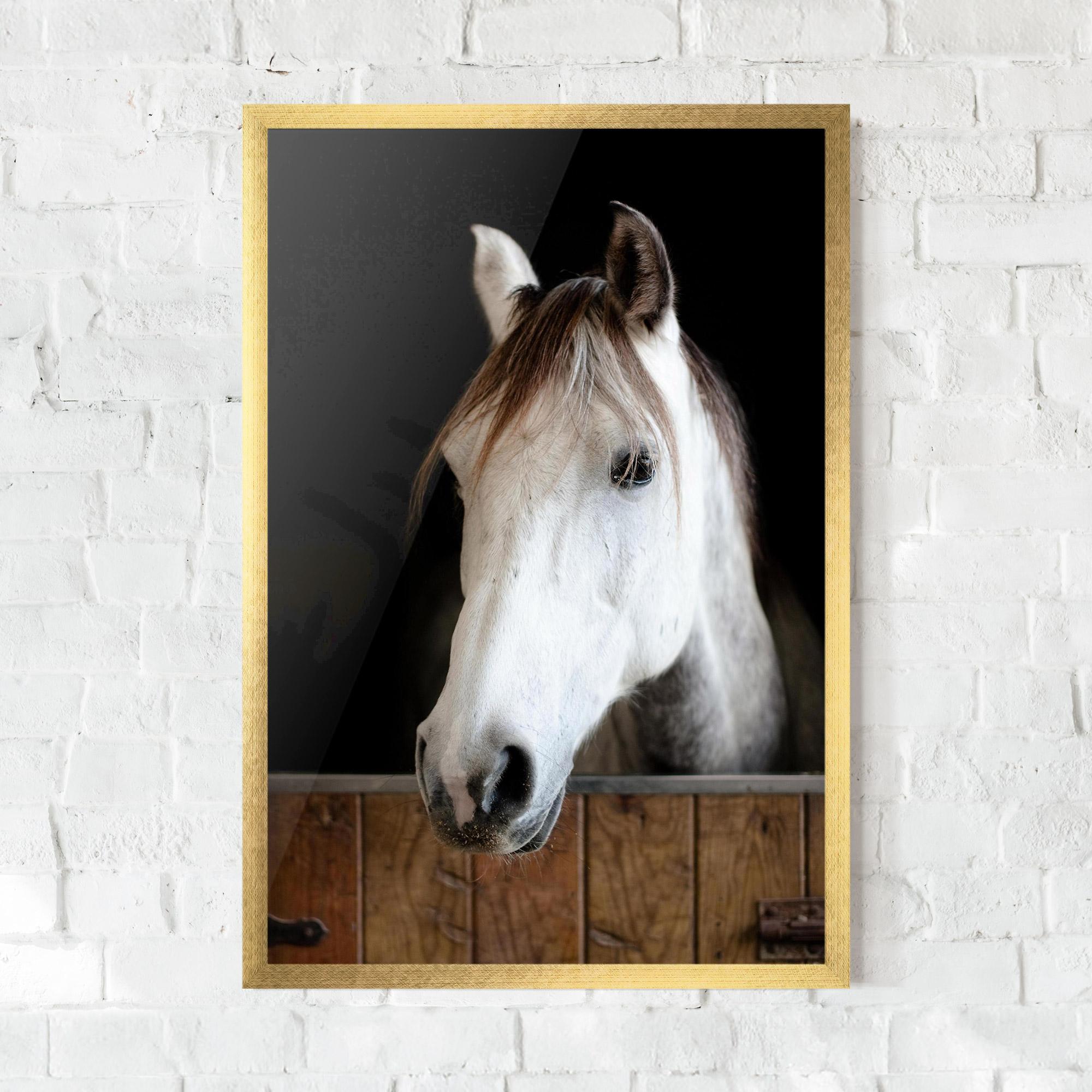 Poster Înrămat Grey Horse Head mockup 0