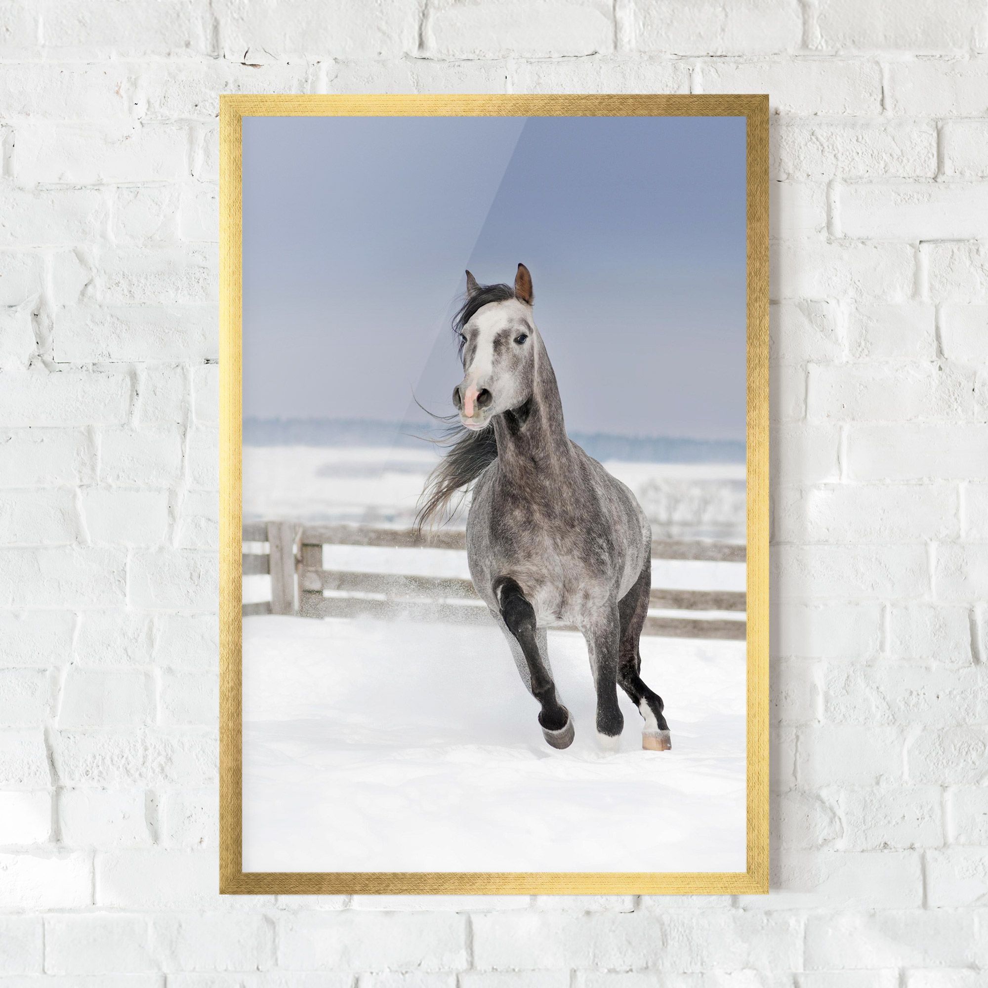 Horse Running Free mockup 0