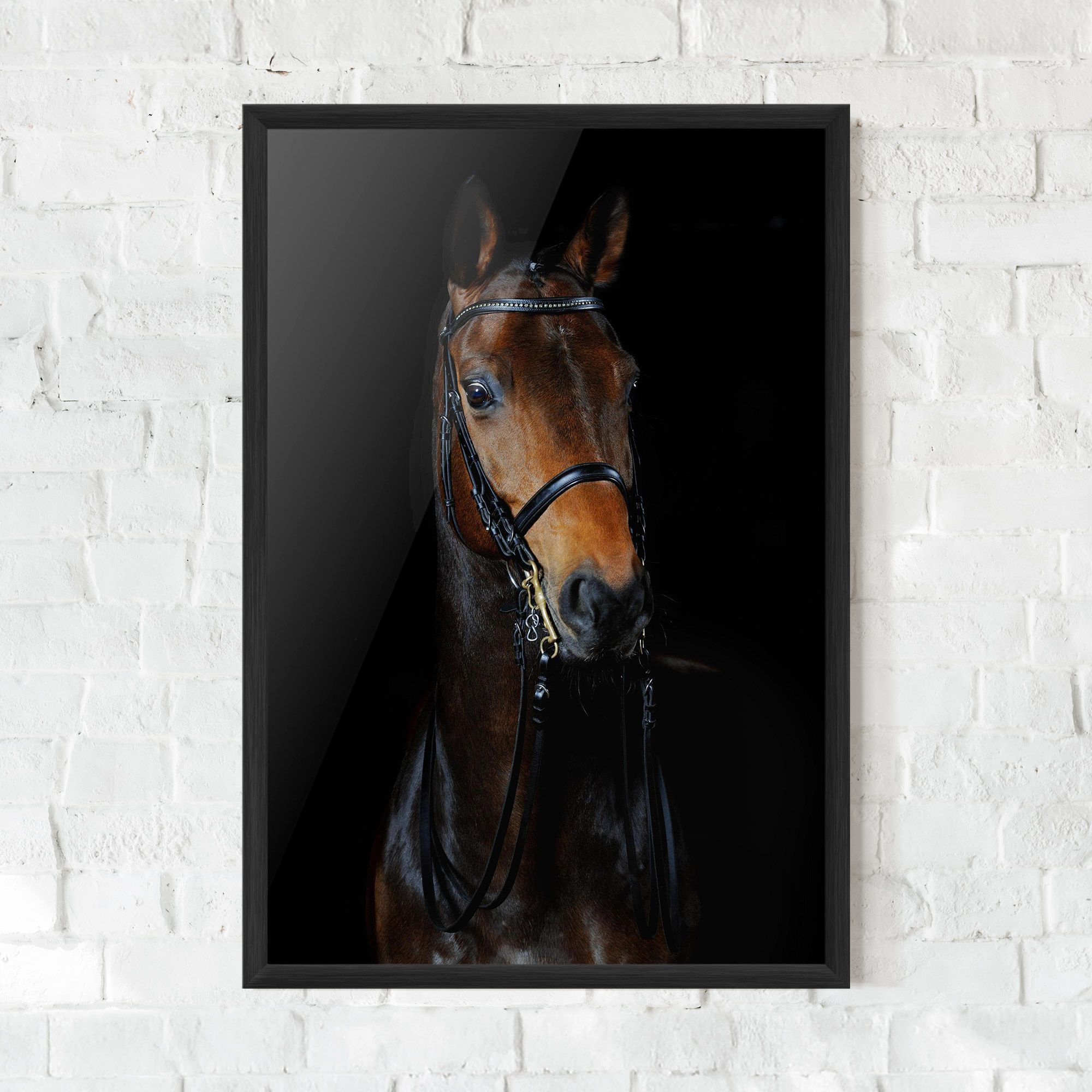 Brown Horse On Black mockup 0