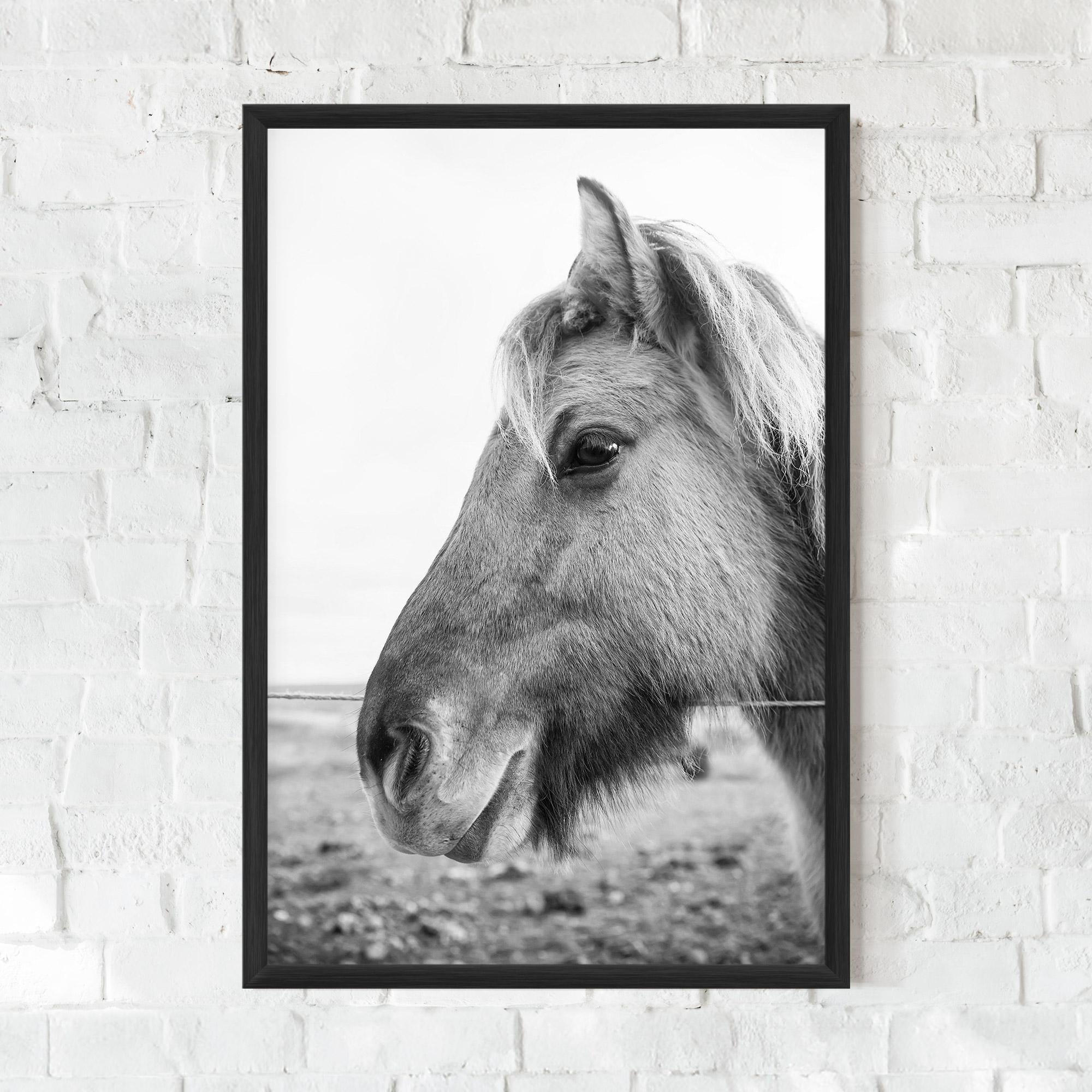 Poster Înrămat Gray Horse Head mockup 0