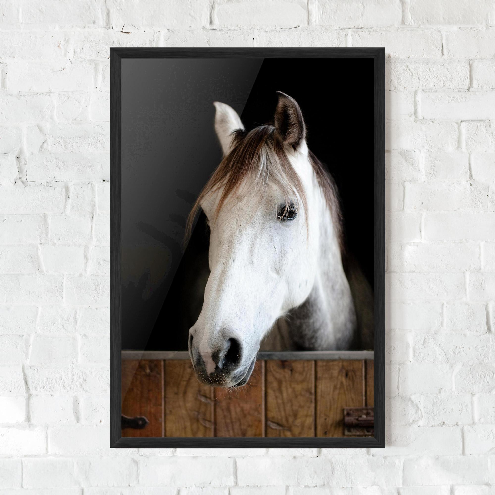 Poster Înrămat Grey Horse Head mockup 0