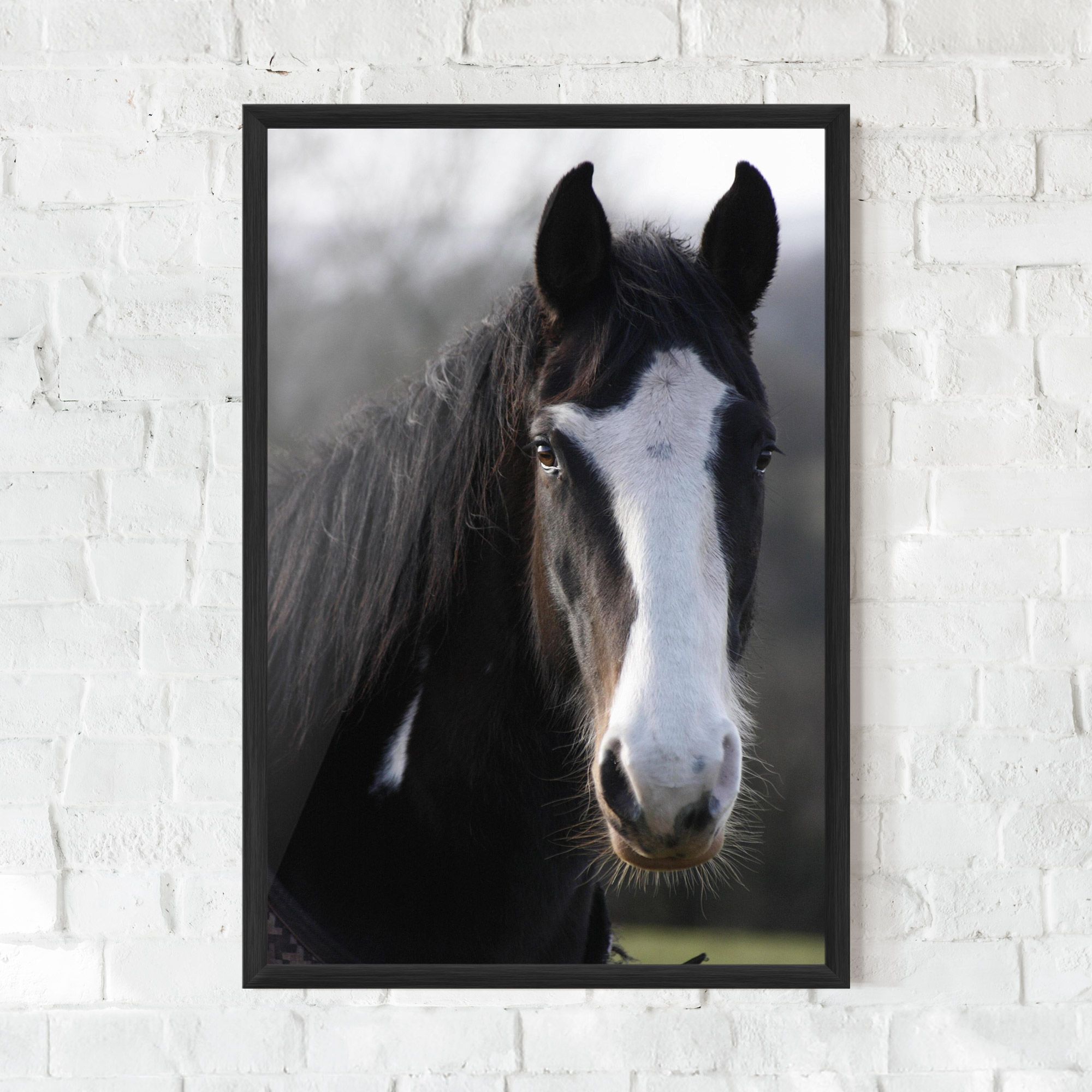 Horse Black Portrait mockup 0