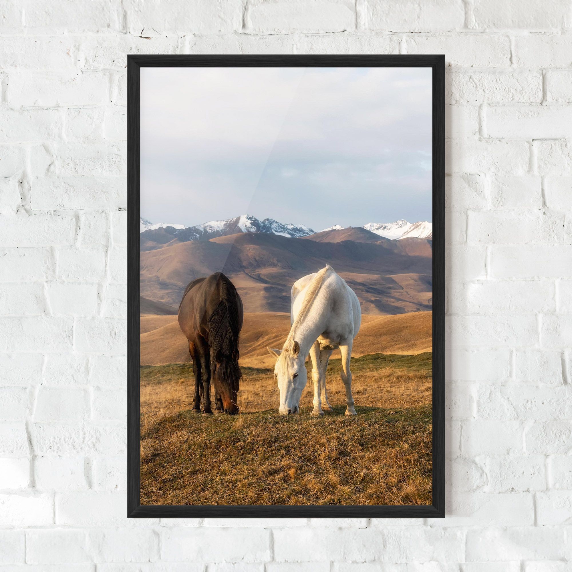 Mountain Horses mockup 0