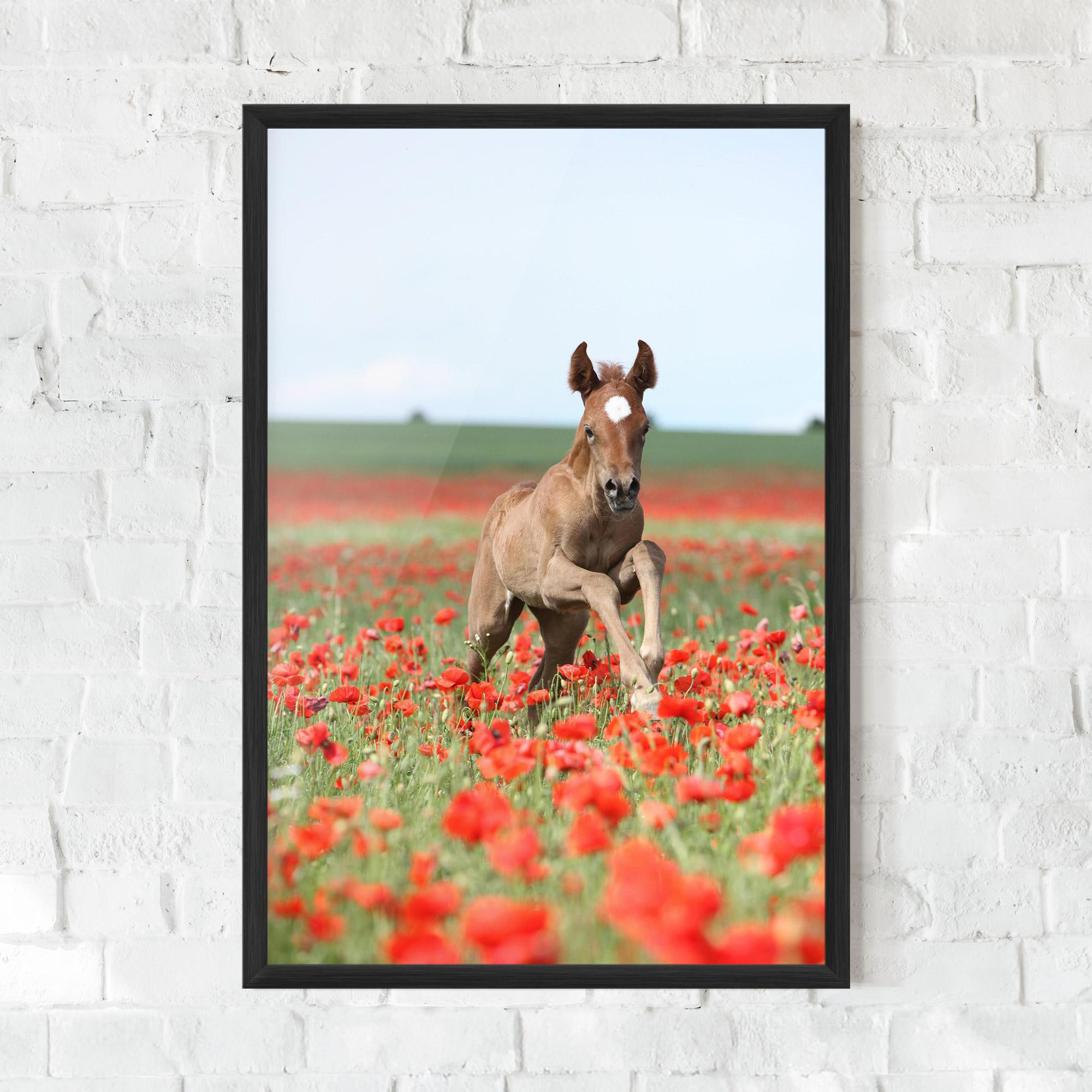 Poster Înrămat Red Flowers Horse mockup 0