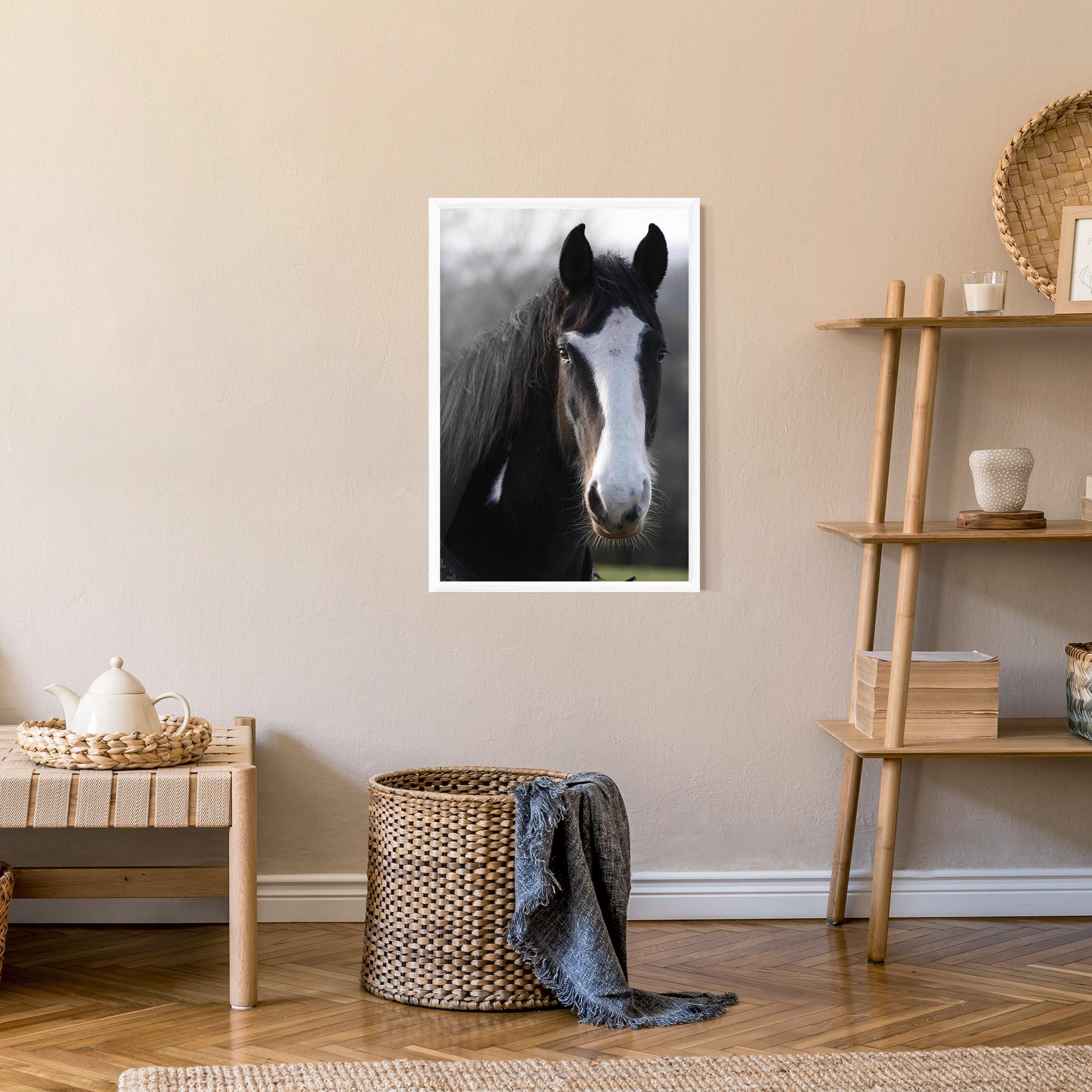 Poster Înrămat Horse Black Portrait mockup 9