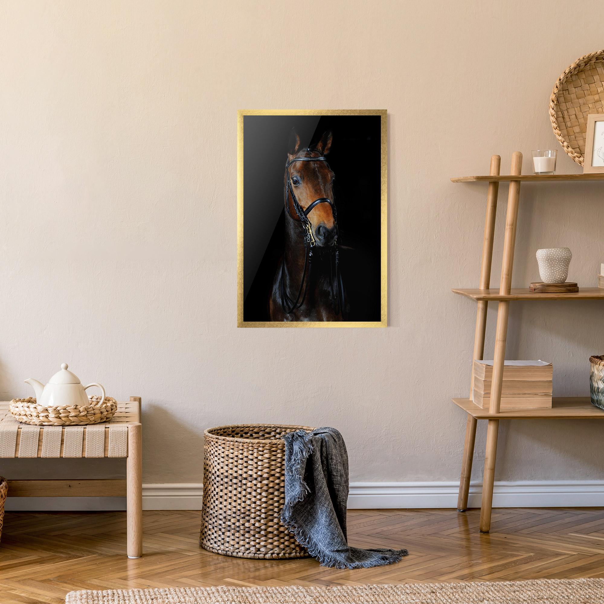 Poster Înrămat Brown Horse On Black mockup 9