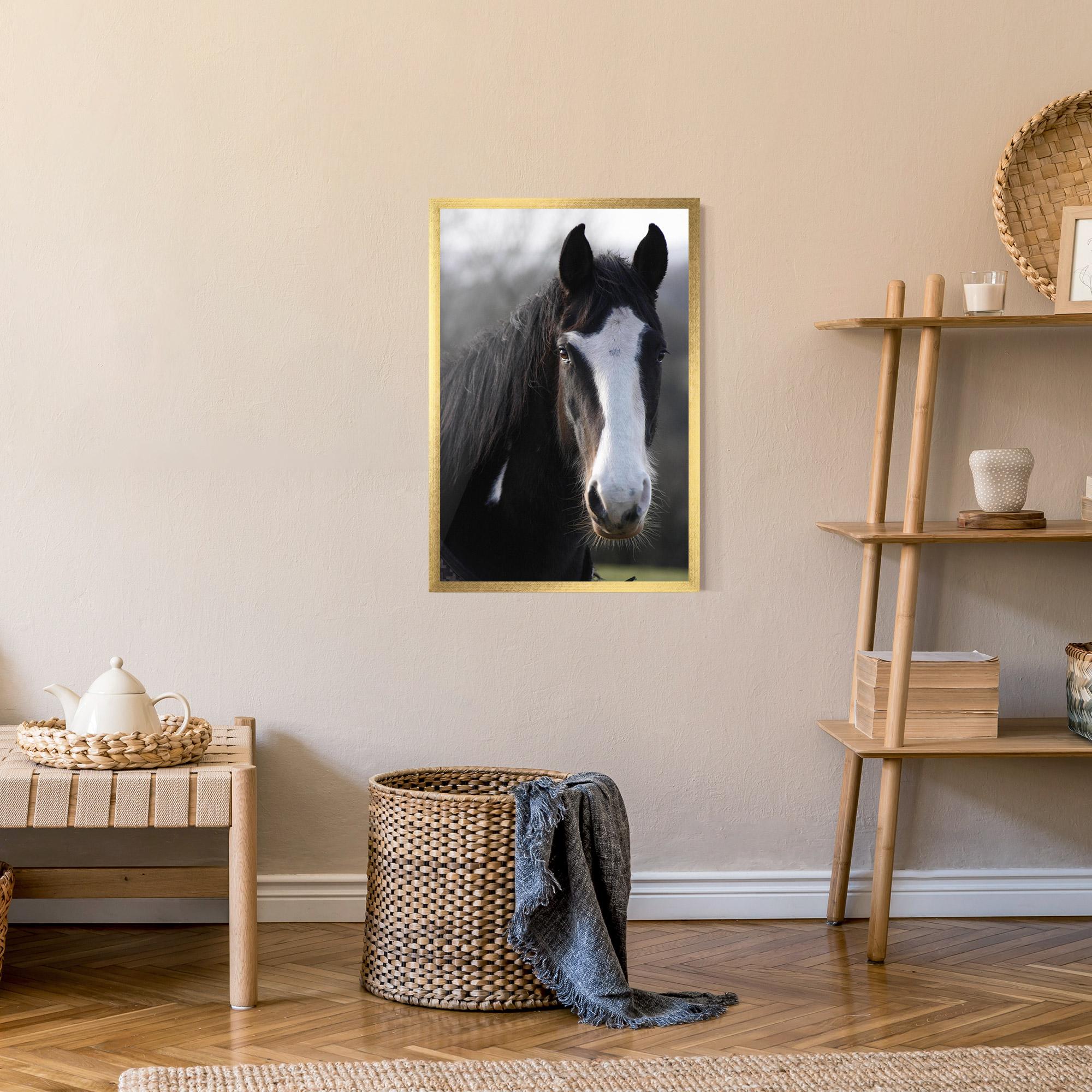 Poster Înrămat Horse Black Portrait mockup 9