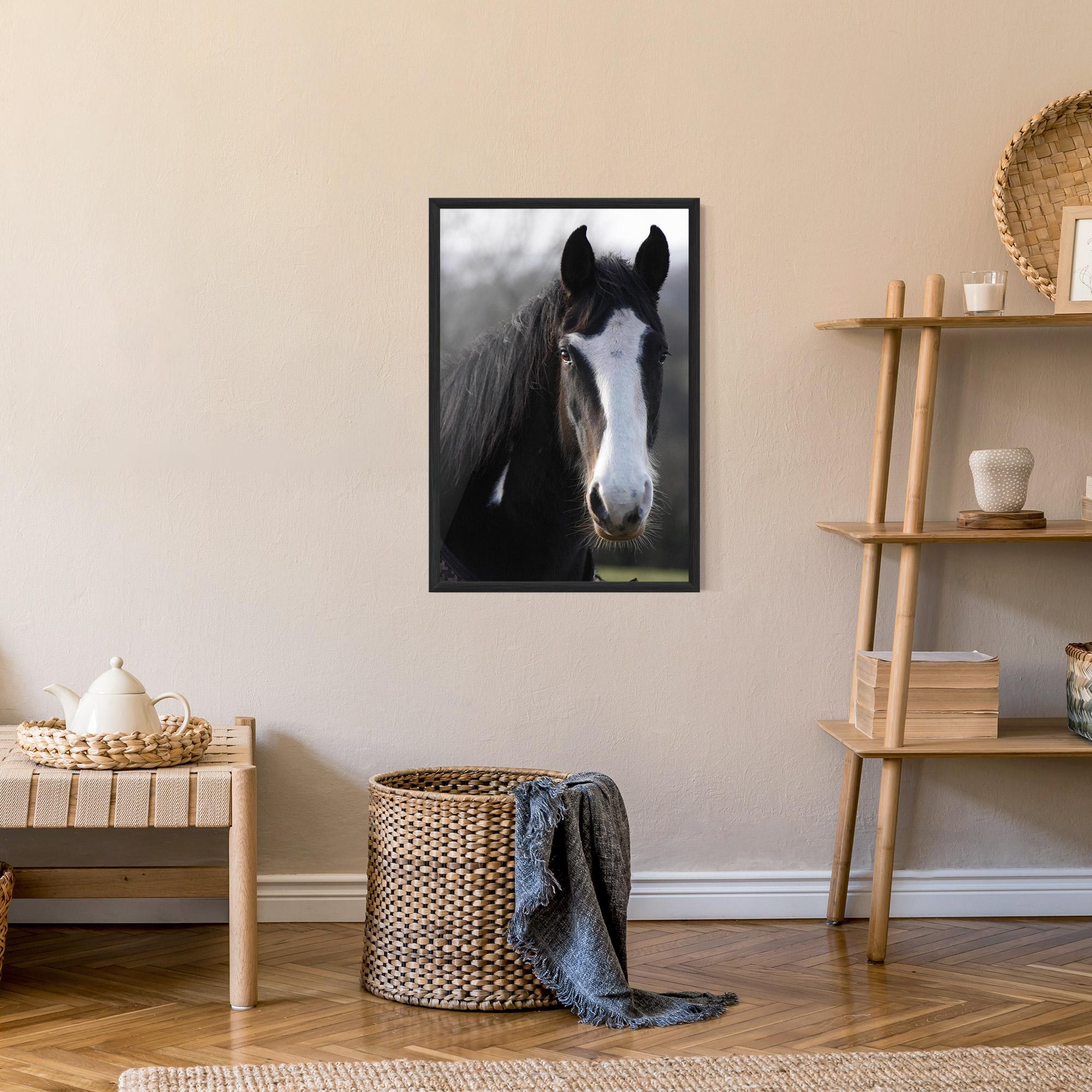 Poster Înrămat Horse Black Portrait mockup 9