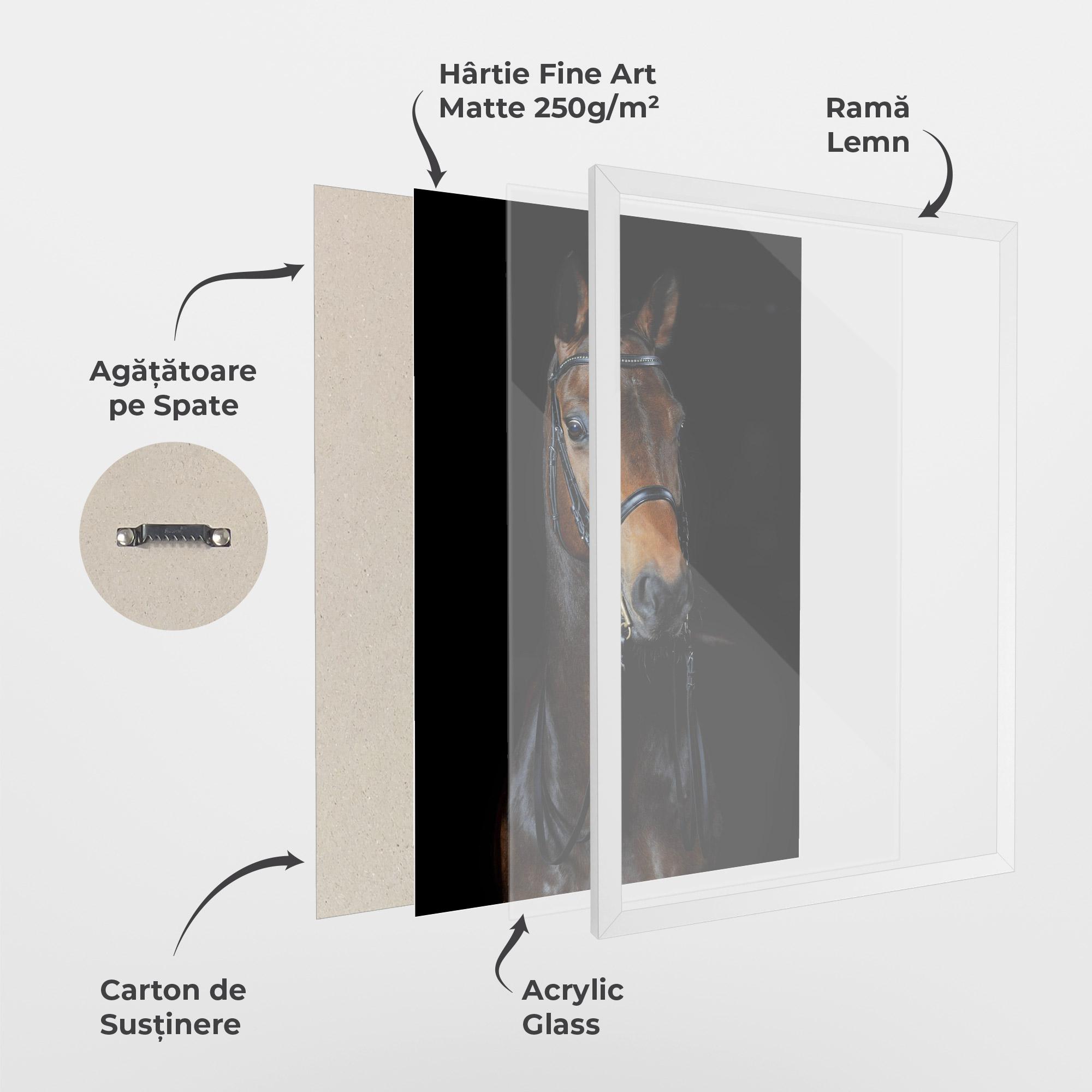 Poster Înrămat Brown Horse On Black mockup 1