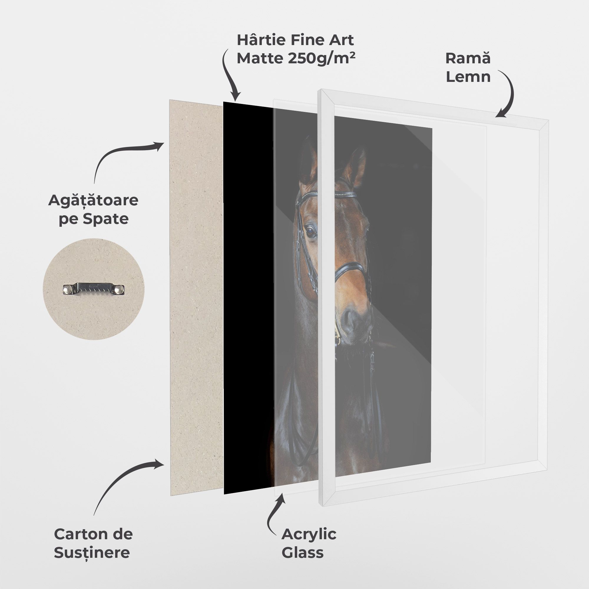 Brown Horse On Black mockup 1