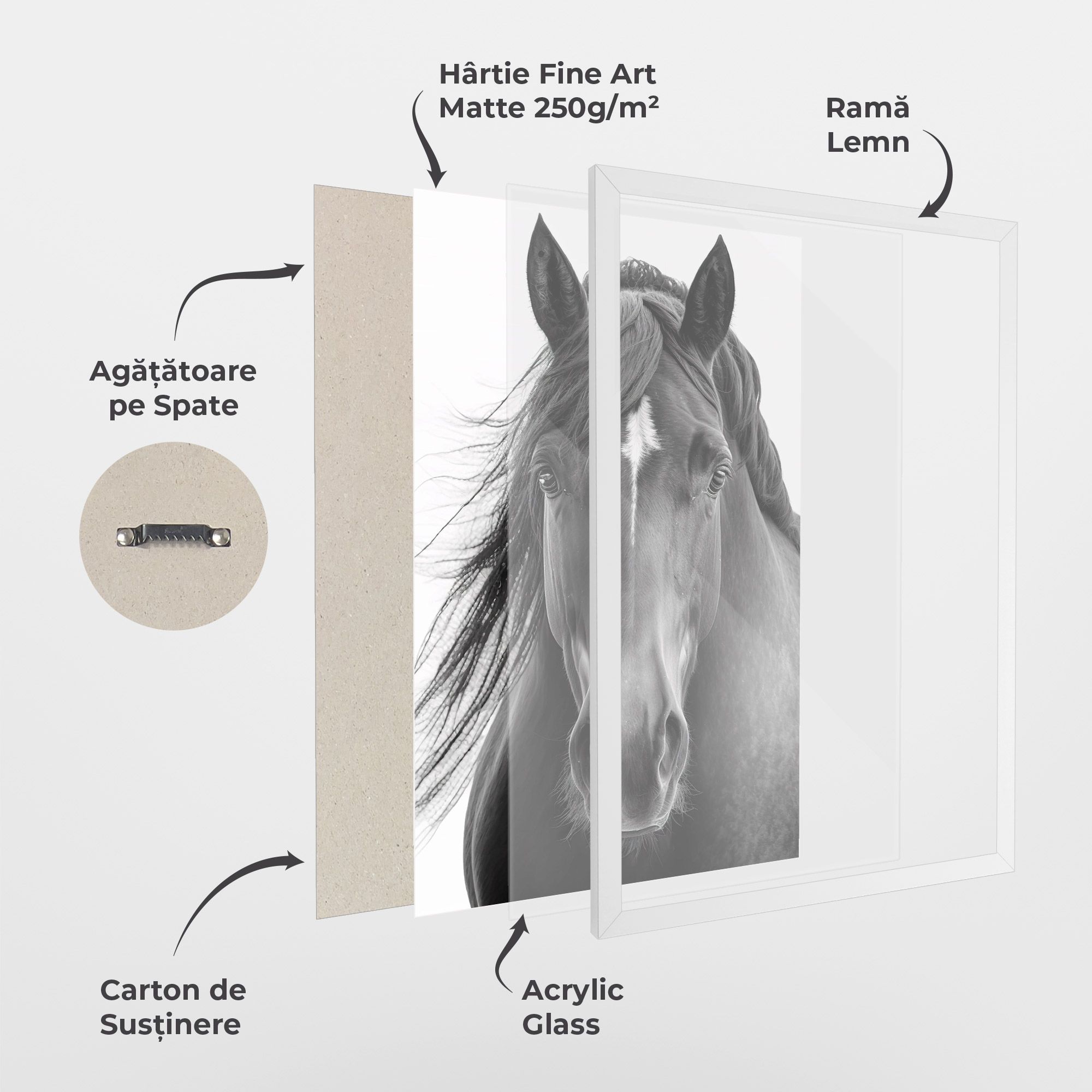 Close Up Horse mockup 1