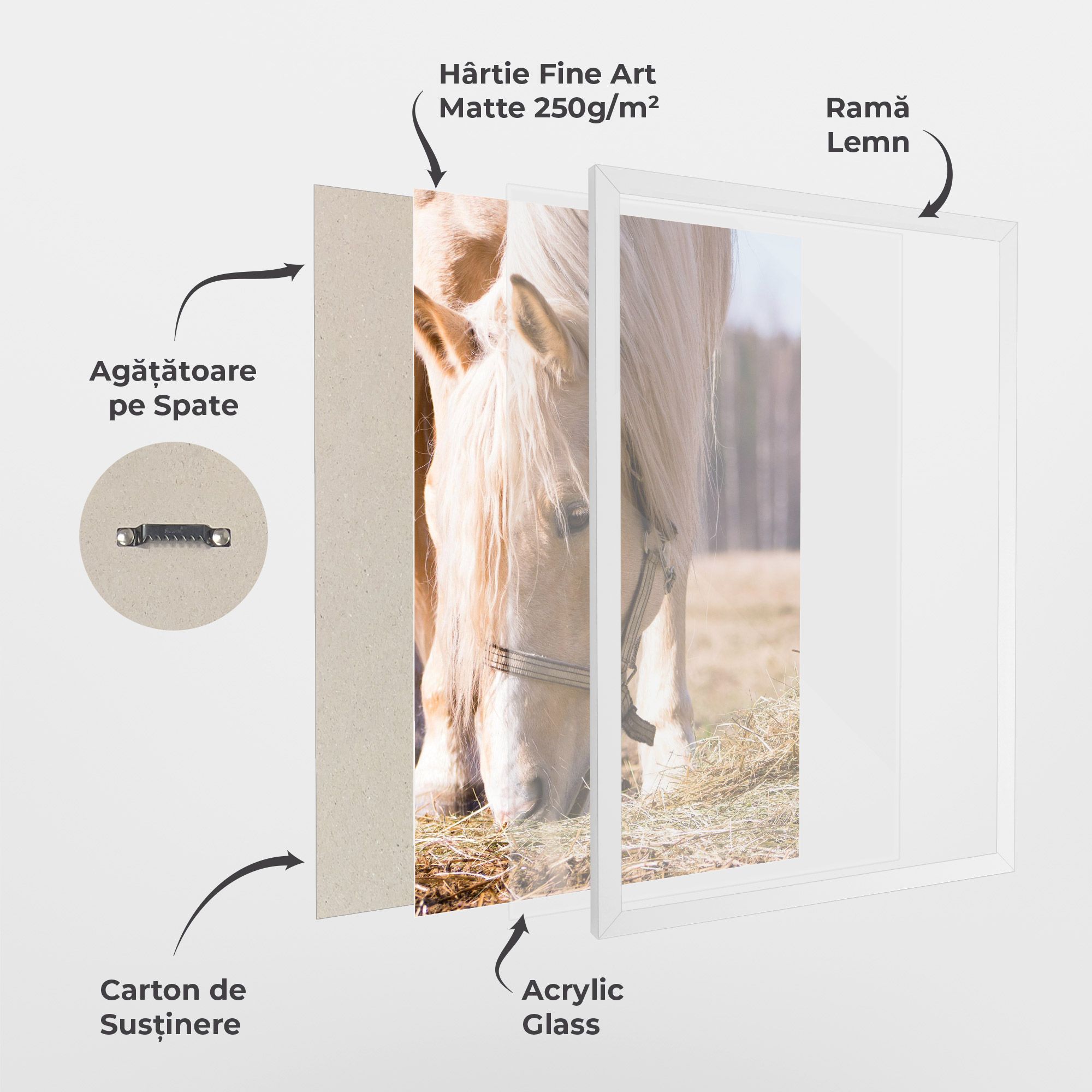 Cream Horse Eating mockup 1