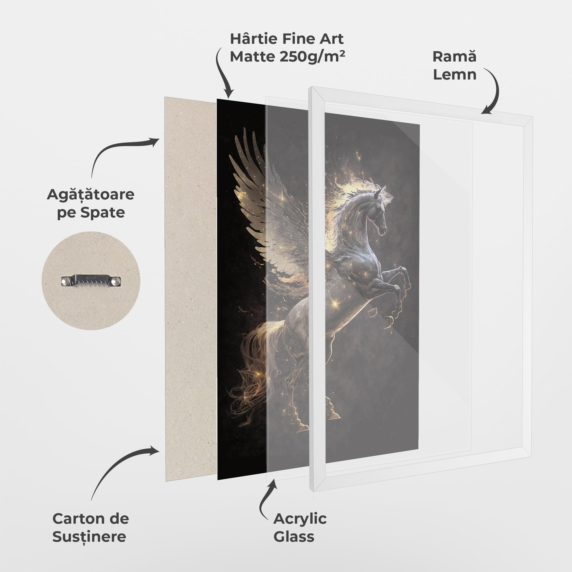 Poster Înrămat Galaxy Pegasus mockup 1