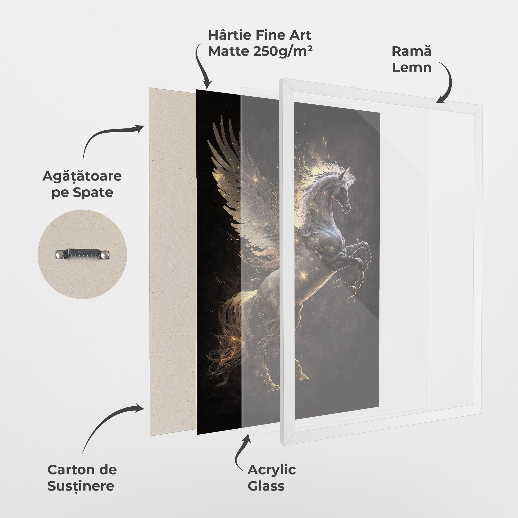 Galaxy Pegasus mockup 1