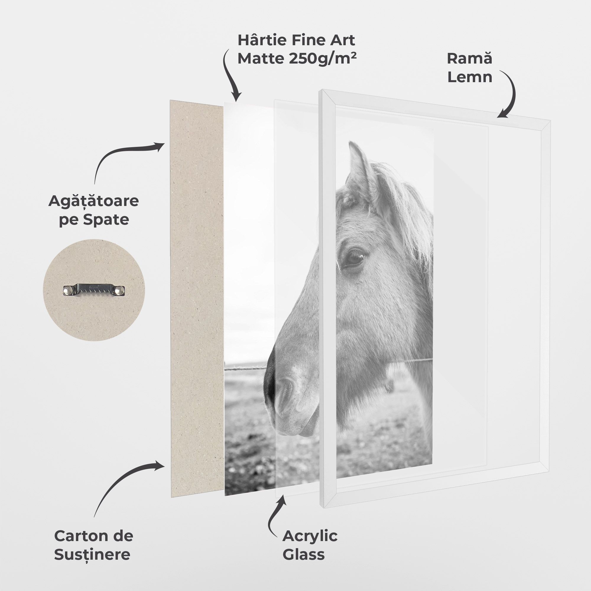 Gray Horse Head mockup 1