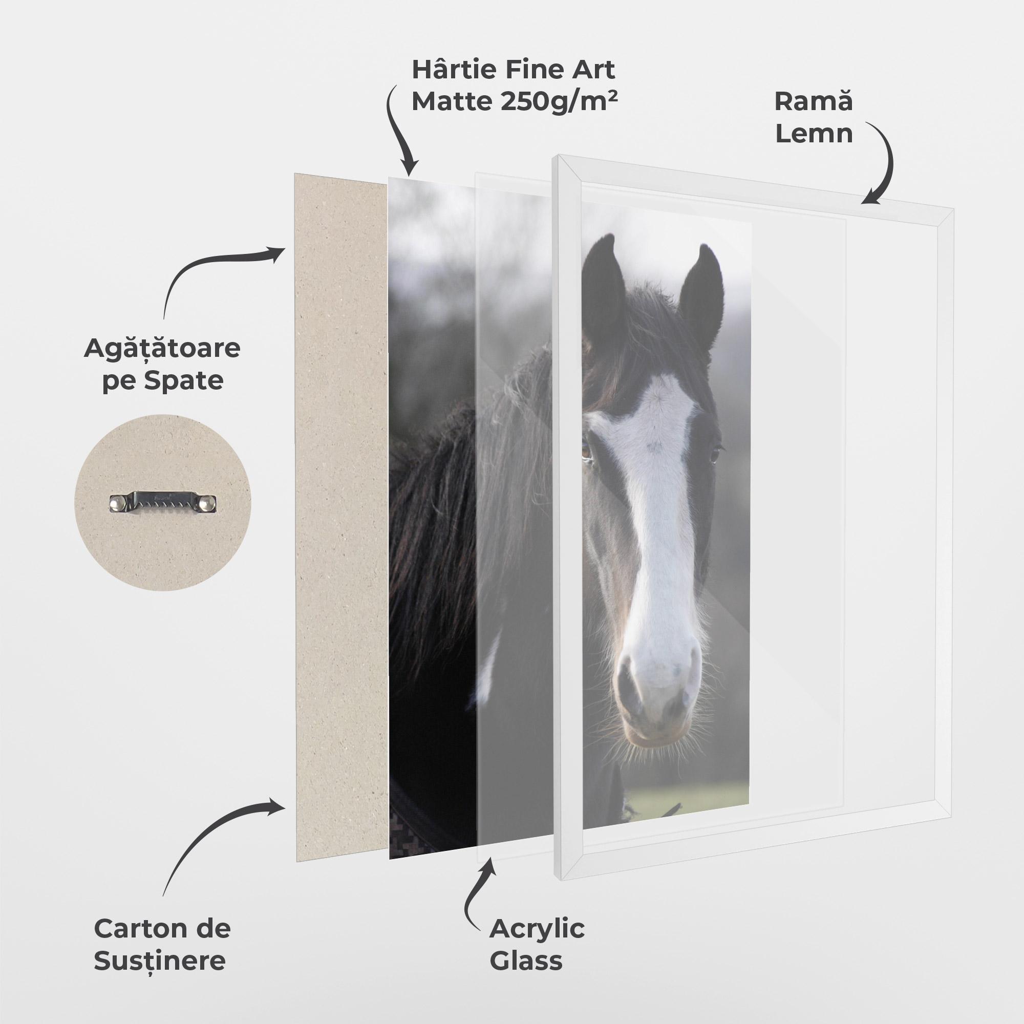 Poster Înrămat Horse Black Portrait mockup 1