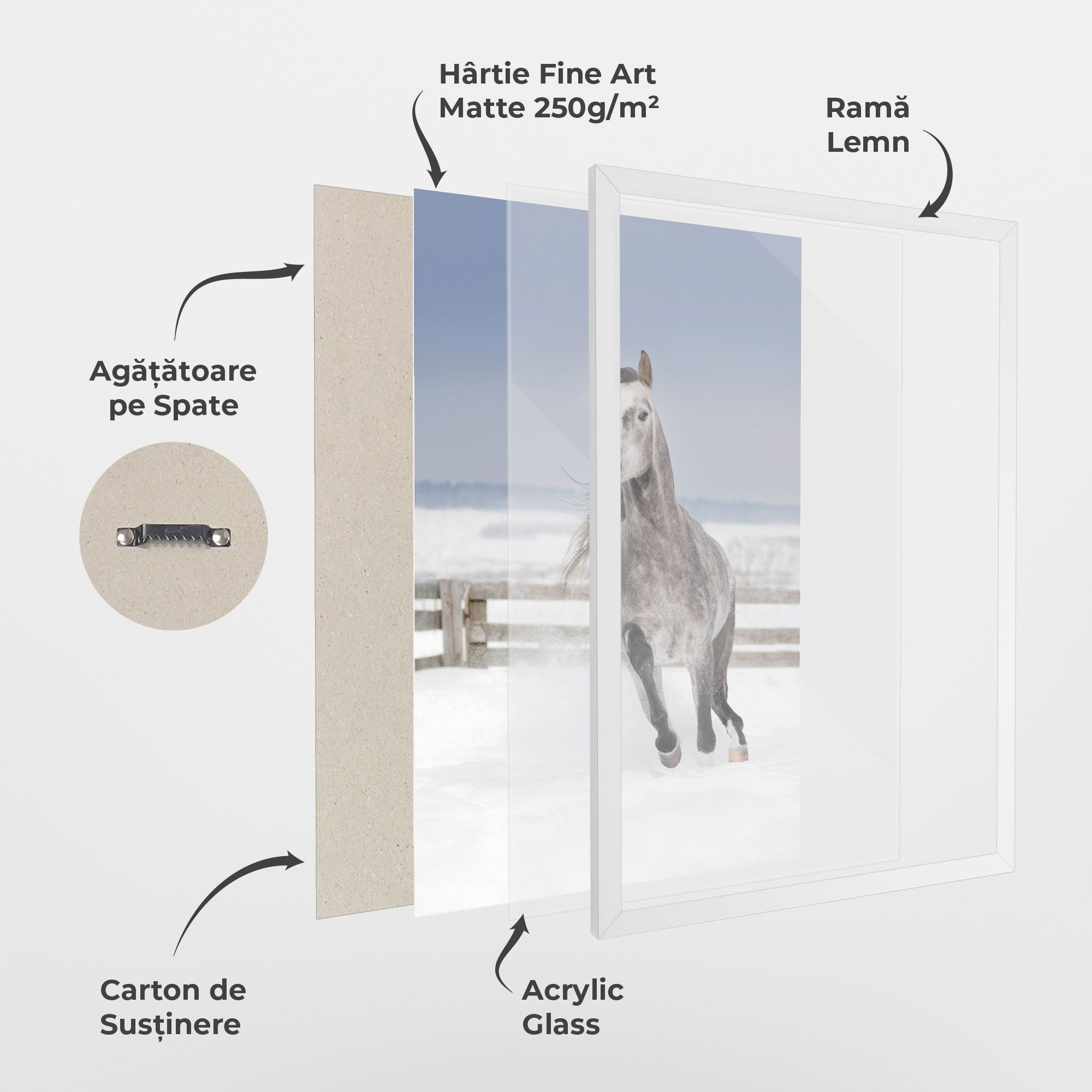 Horse Running Free mockup 1
