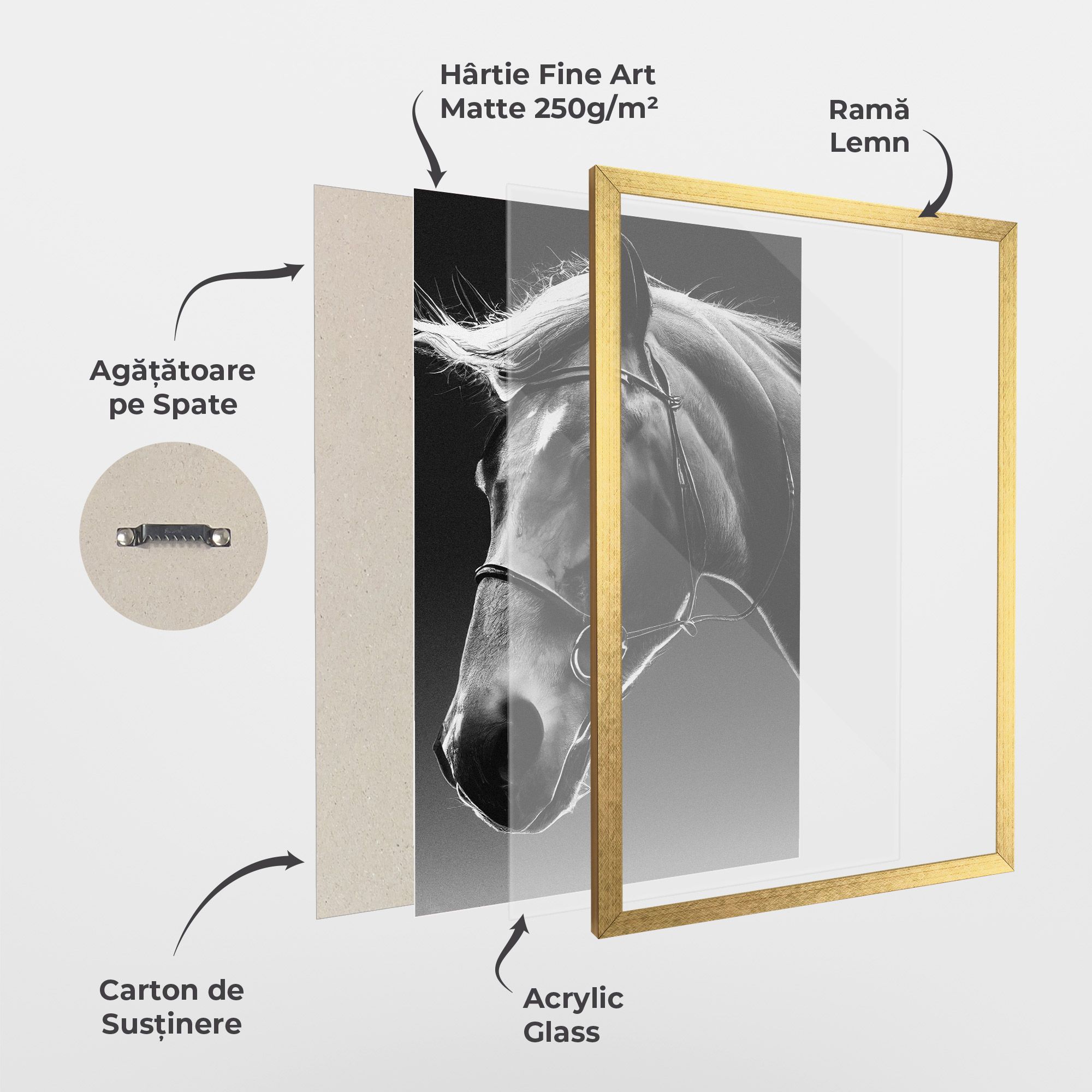 Black Horse Profile mockup 1