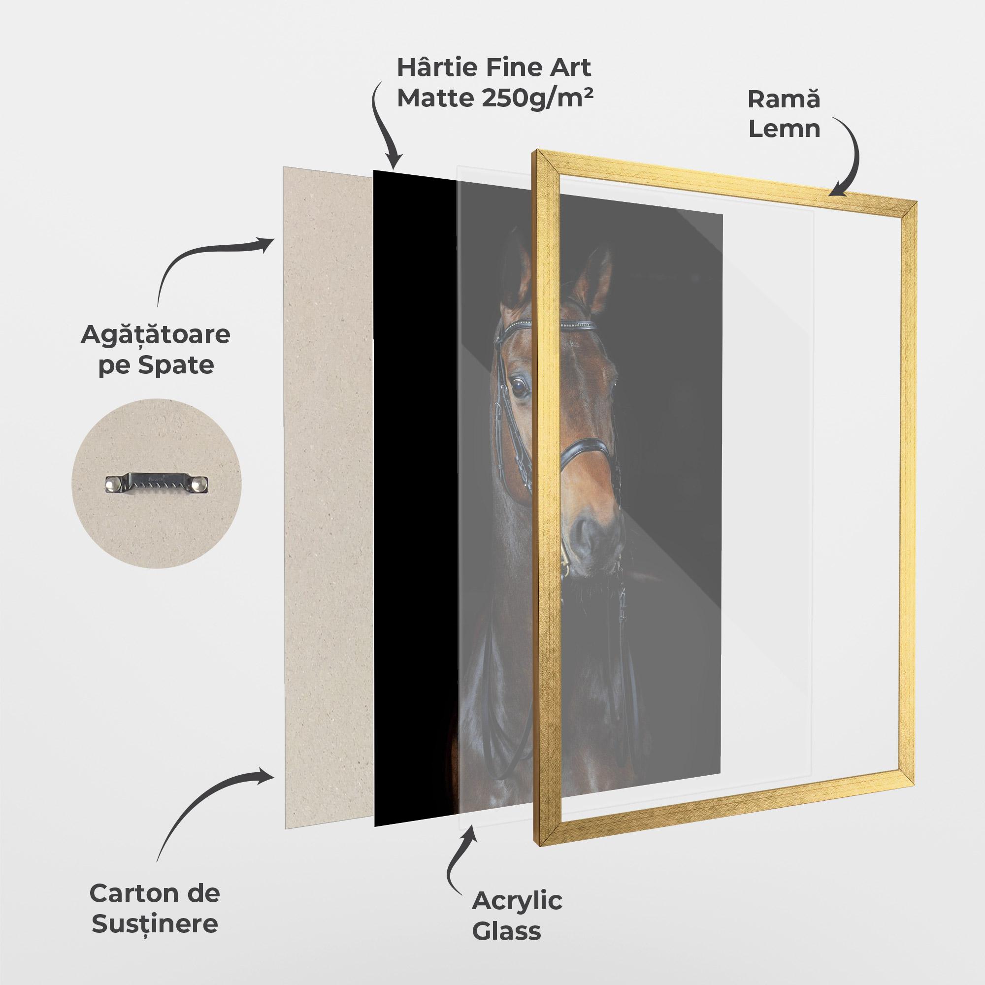 Poster Înrămat Brown Horse On Black mockup 1