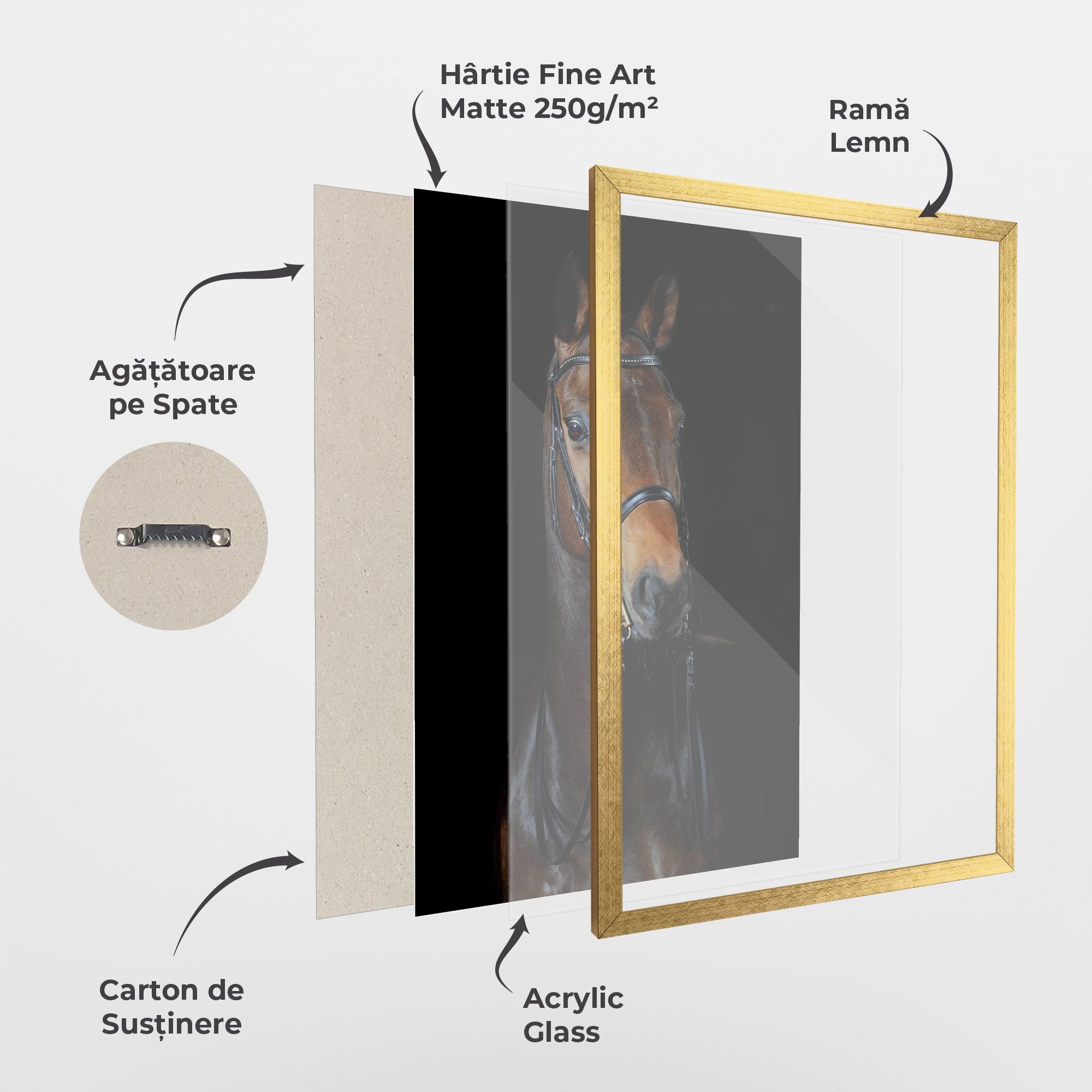 Brown Horse On Black mockup 1