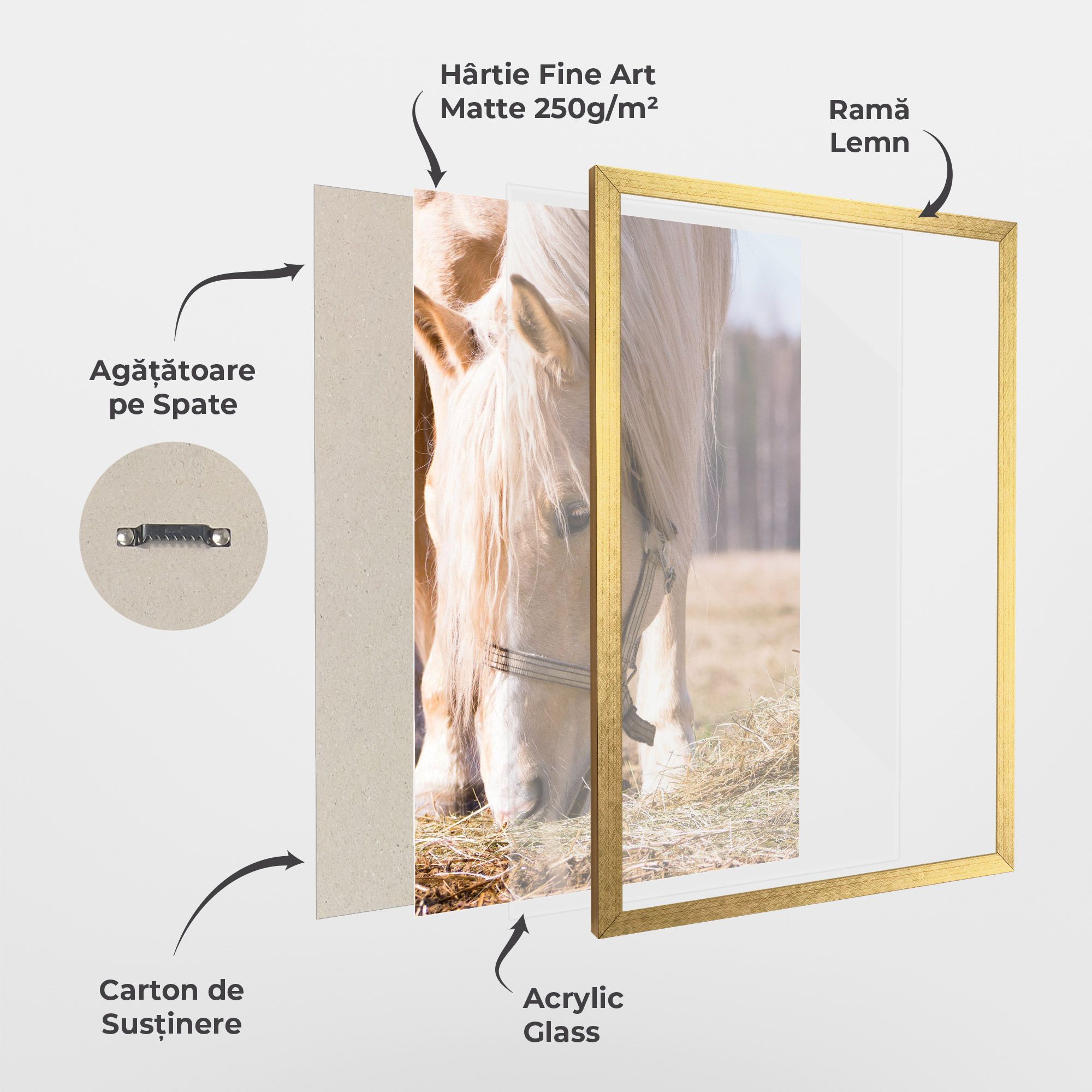 Cream Horse Eating mockup 1