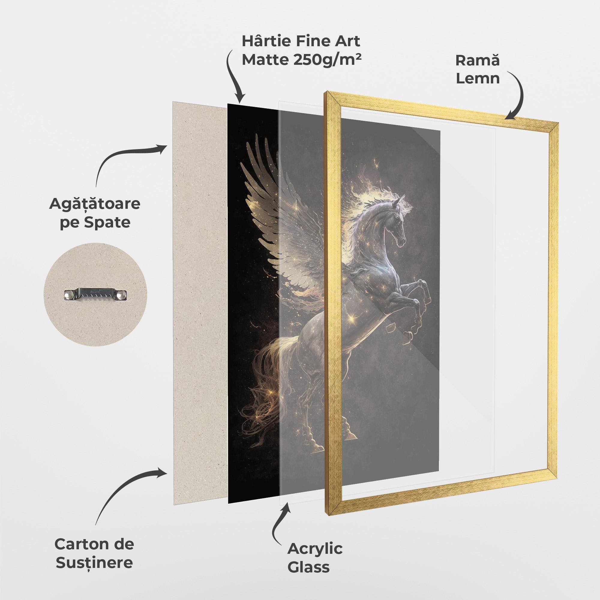 Poster Înrămat Galaxy Pegasus mockup 1