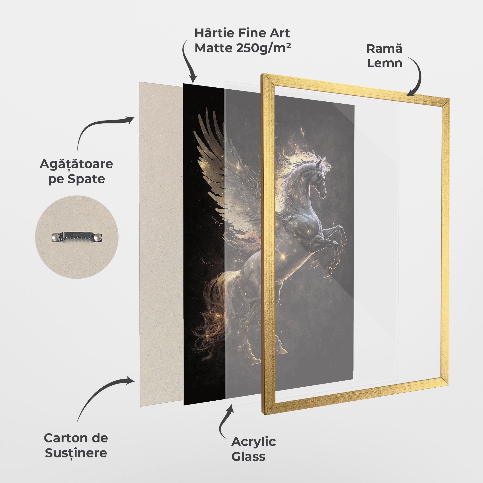 Galaxy Pegasus mockup 1