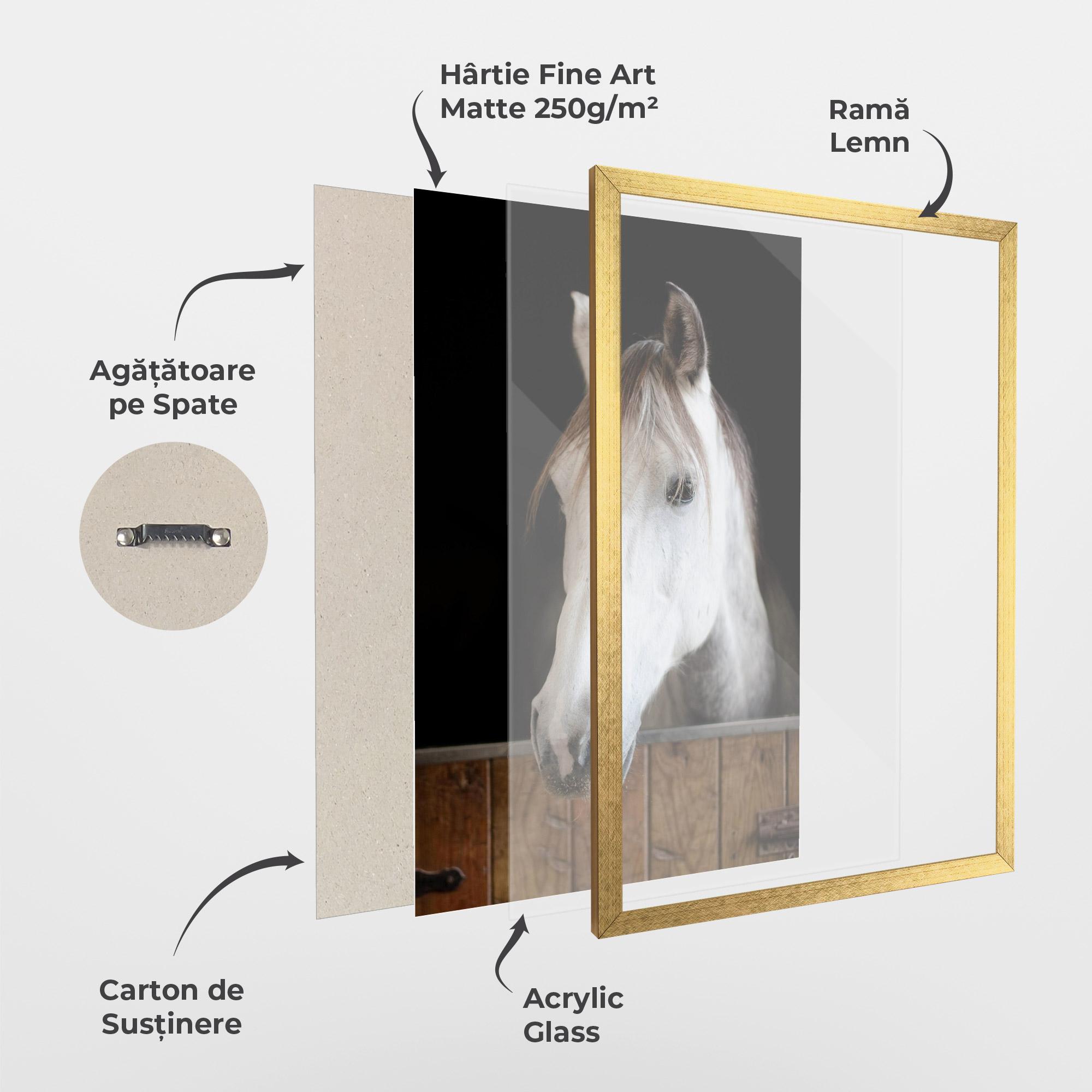 Poster Înrămat Grey Horse Head mockup 1