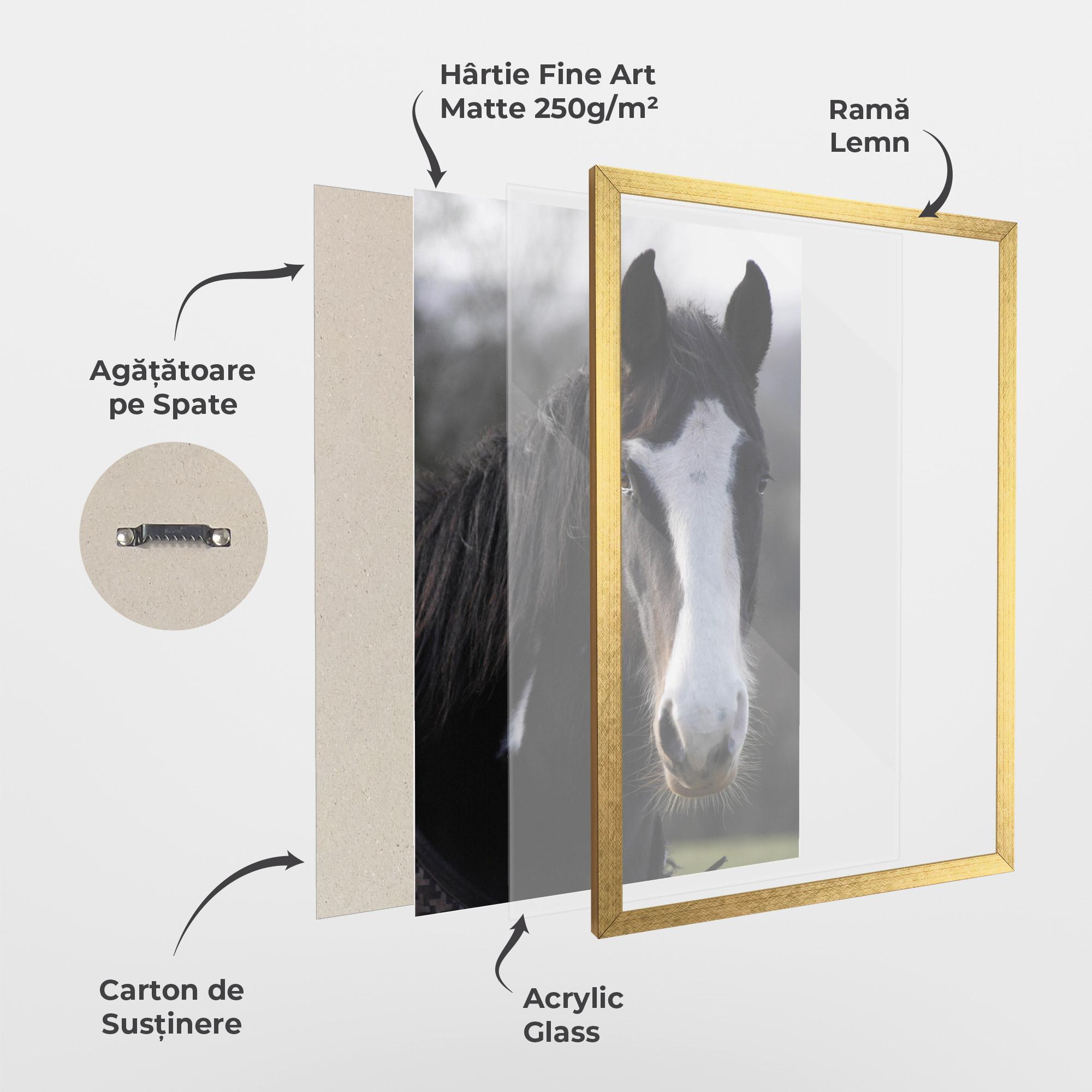 Poster Înrămat Horse Black Portrait mockup 1