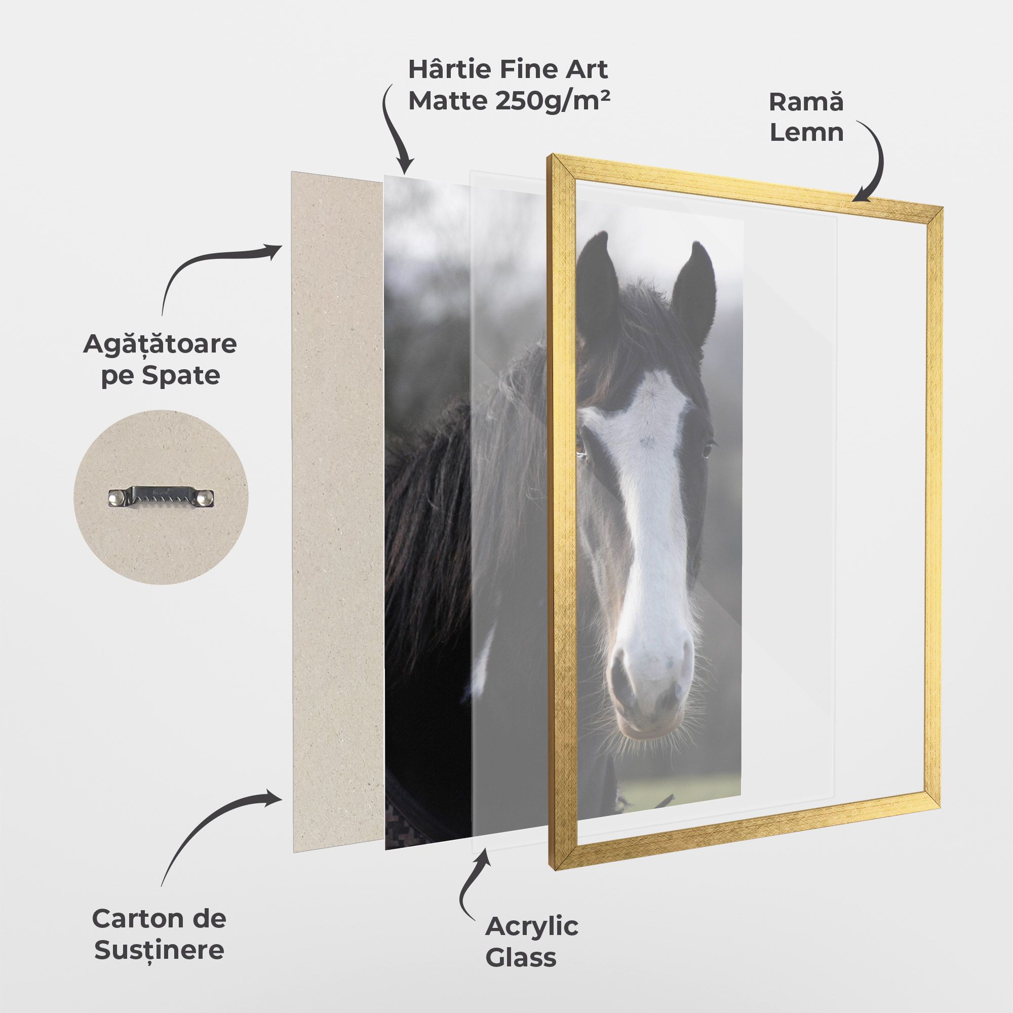 Horse Black Portrait mockup 1