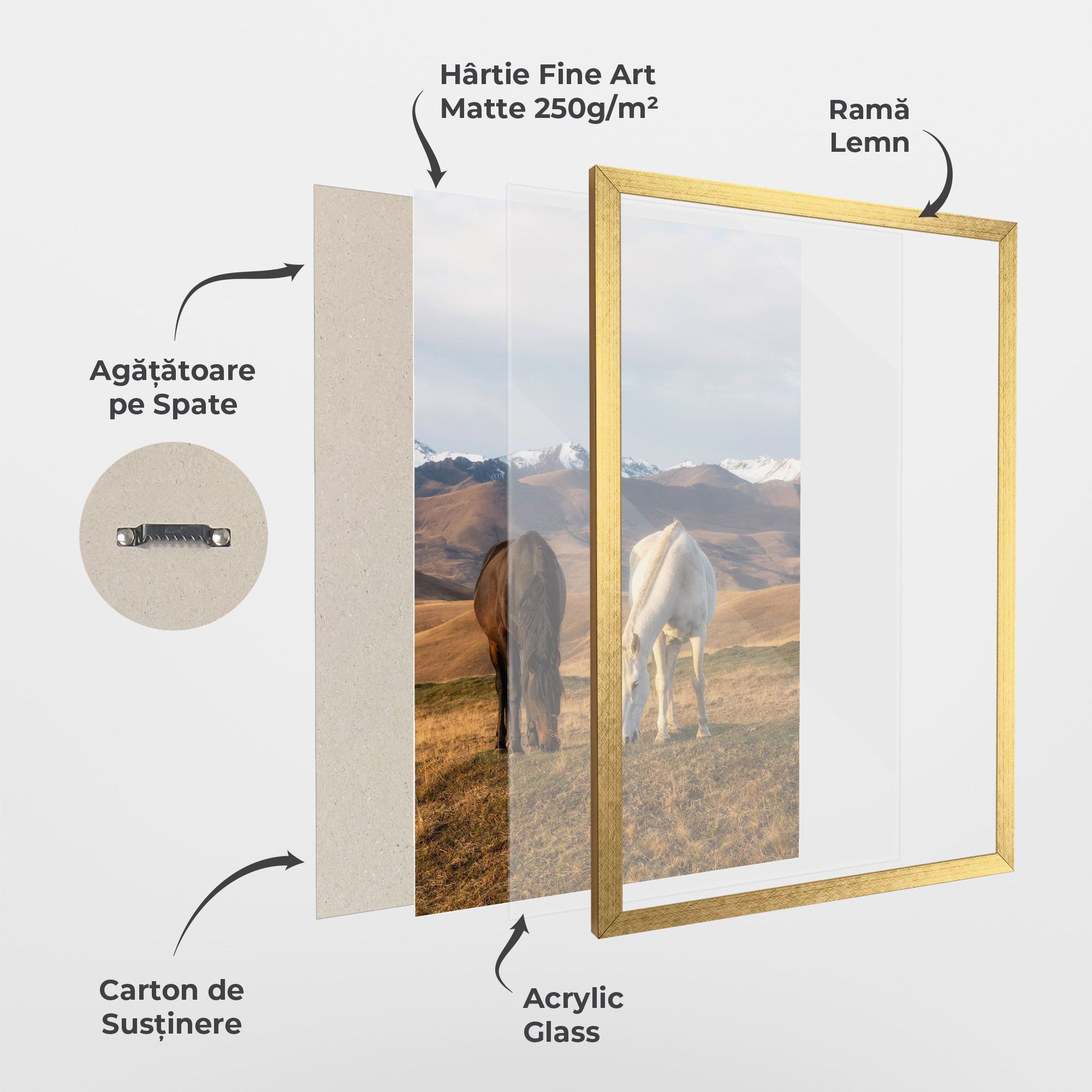 Mountain Horses mockup 1