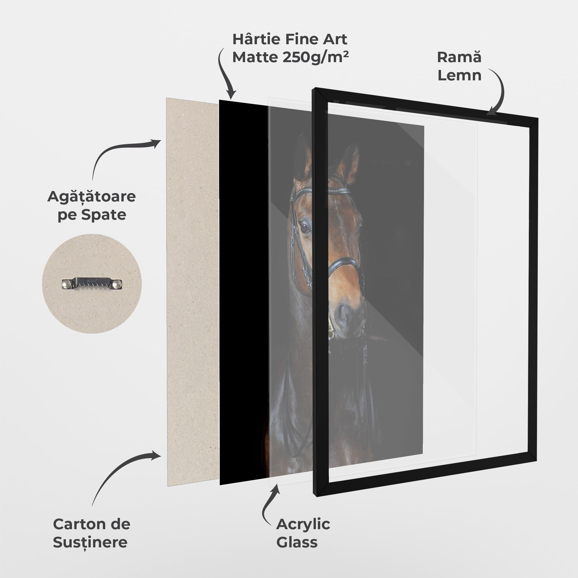 Poster Înrămat Brown Horse On Black mockup 1