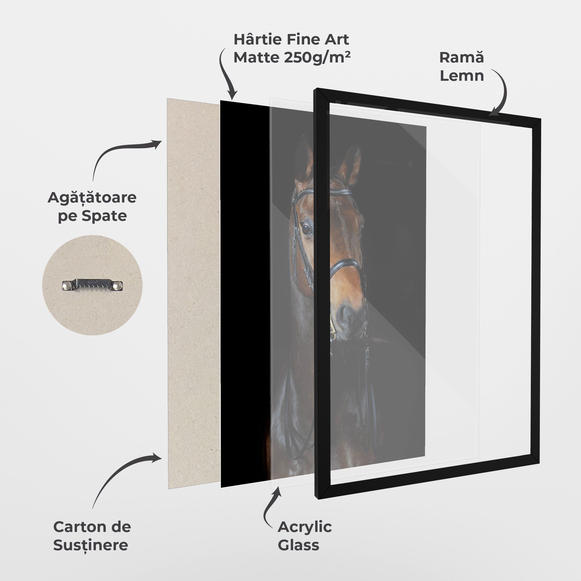 Brown Horse On Black mockup 1