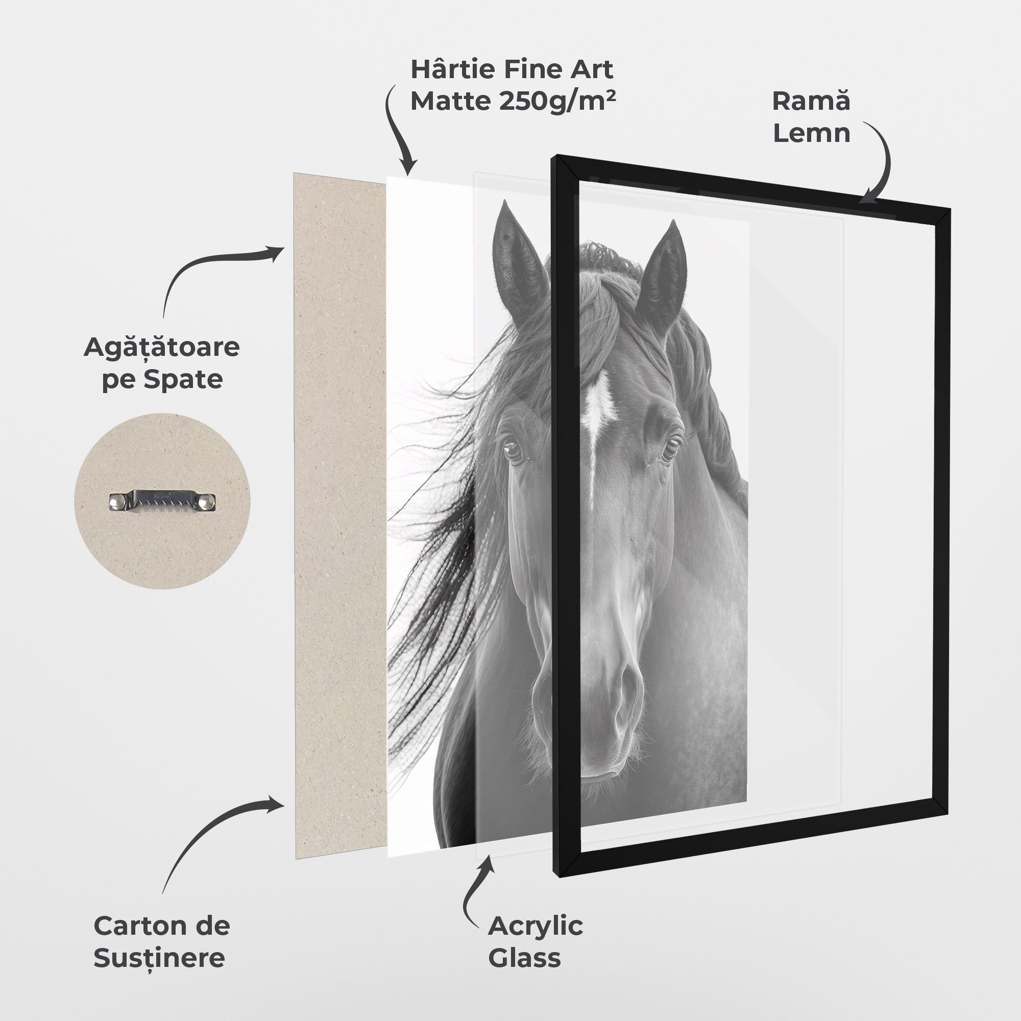 Close Up Horse mockup 1