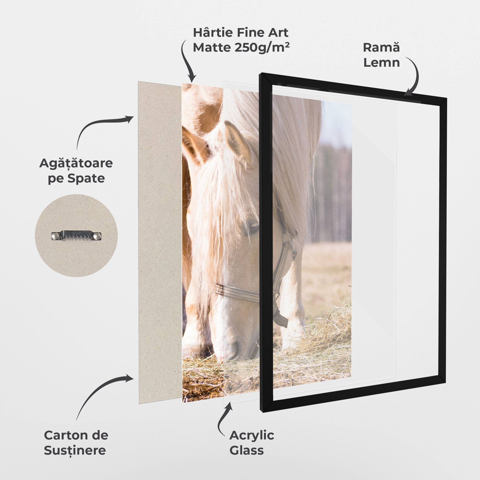 Cream Horse Eating mockup 1