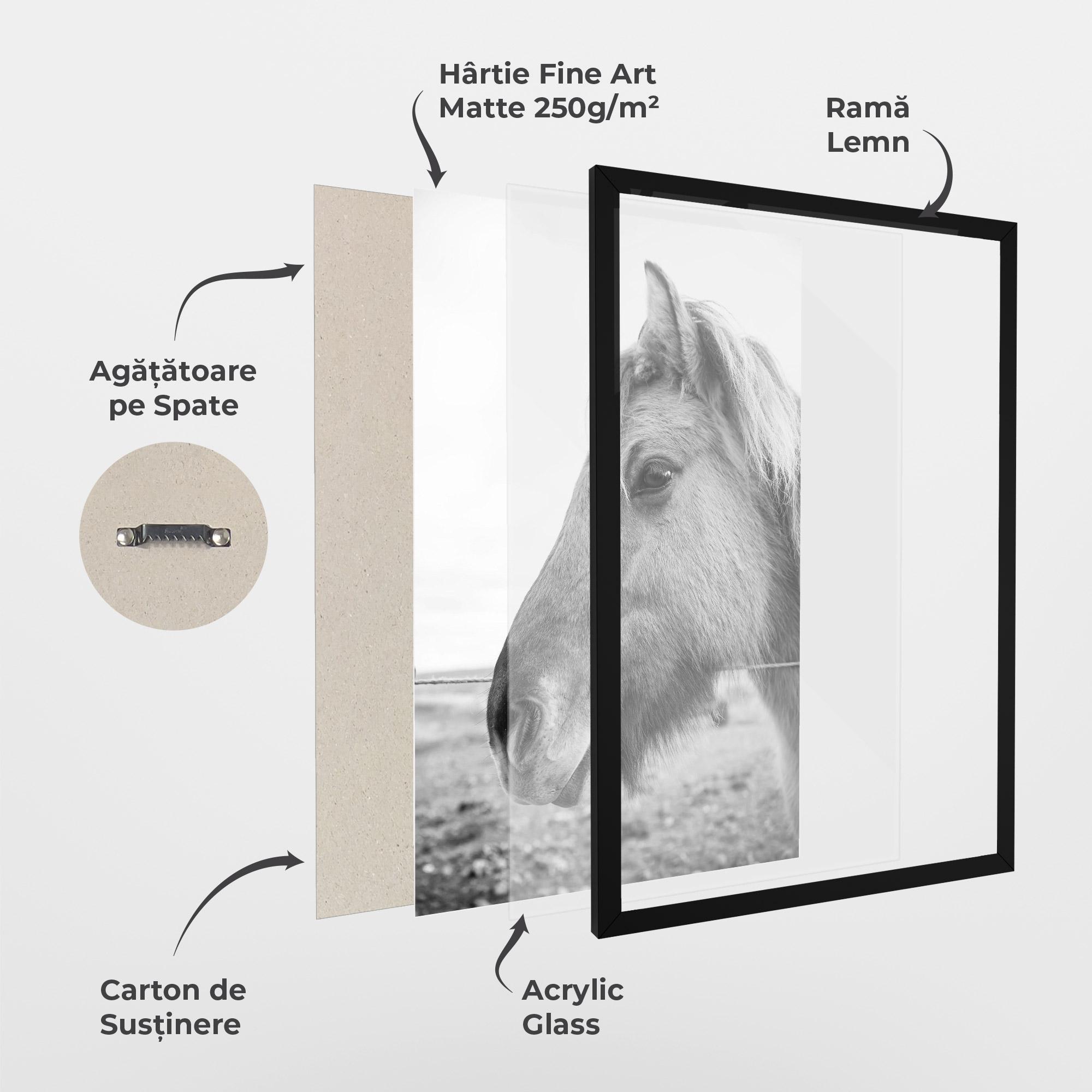 Poster Înrămat Gray Horse Head mockup 1