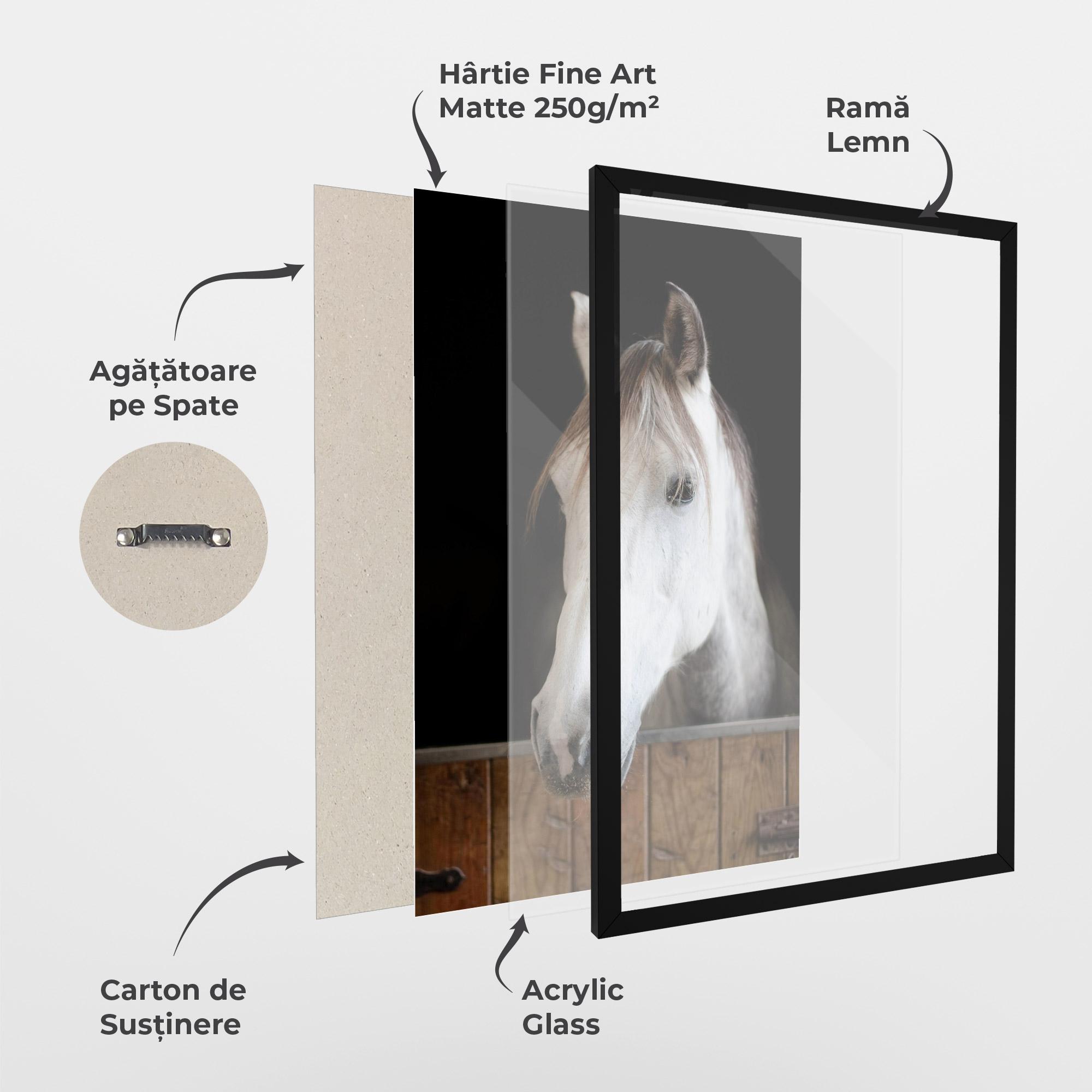 Poster Înrămat Grey Horse Head mockup 1