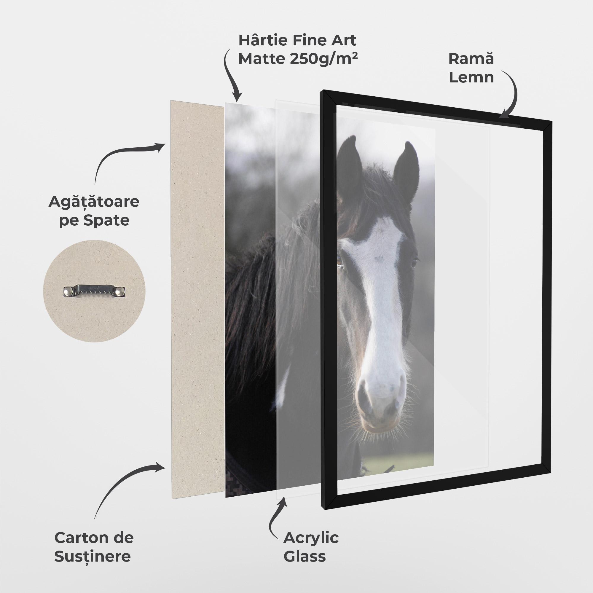 Poster Înrămat Horse Black Portrait mockup 1