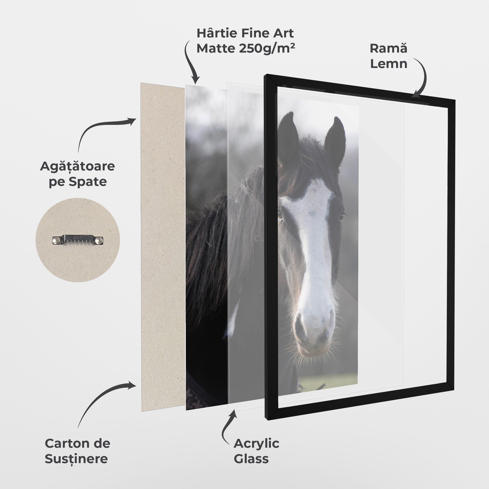 Horse Black Portrait mockup 1