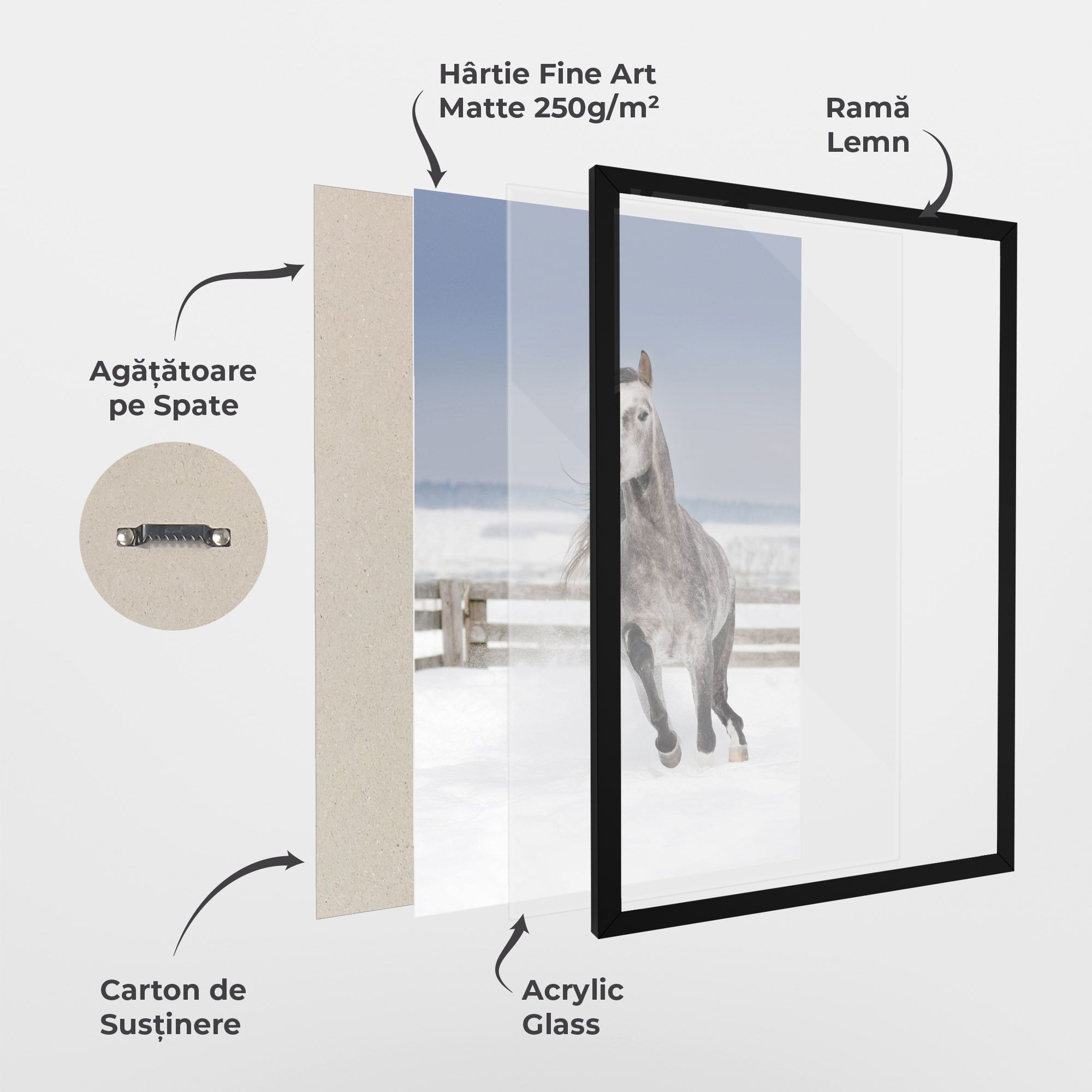 Horse Running Free mockup 1