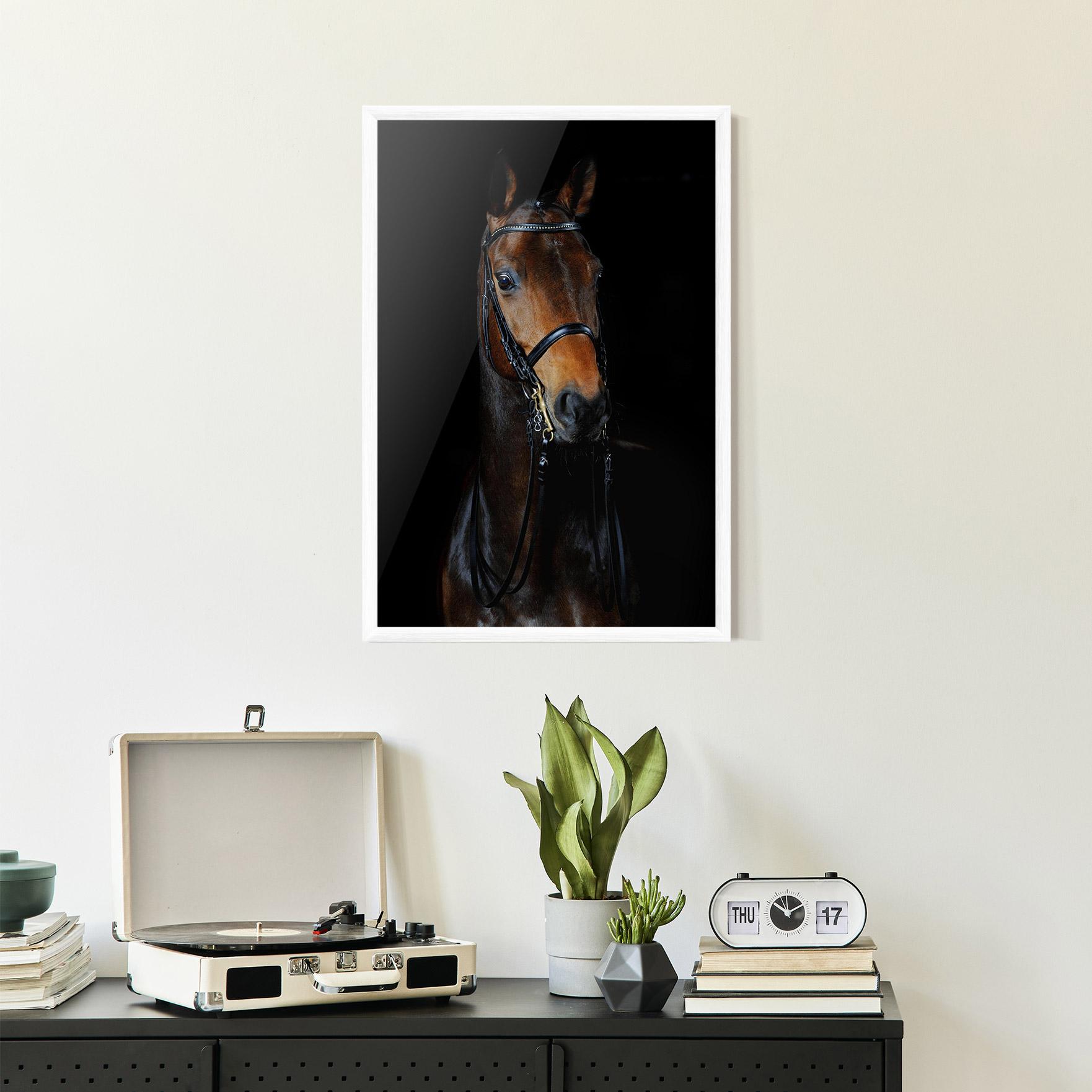 Poster Înrămat Brown Horse On Black mockup 2