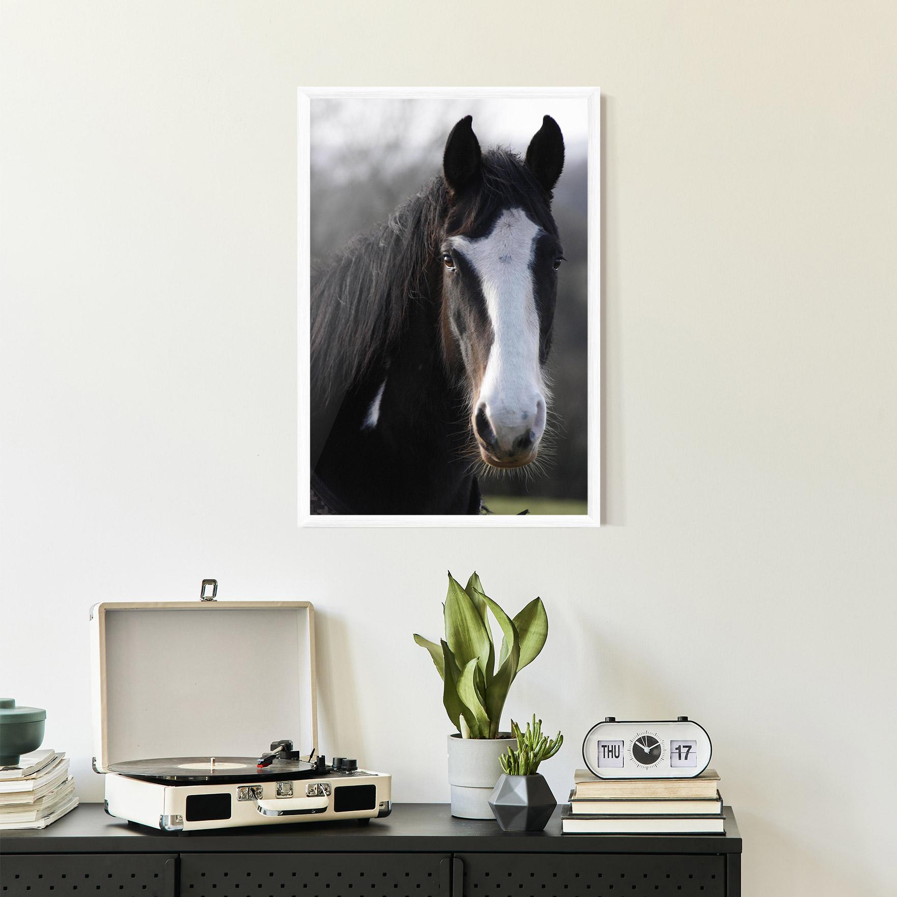 Poster Înrămat Horse Black Portrait mockup 2