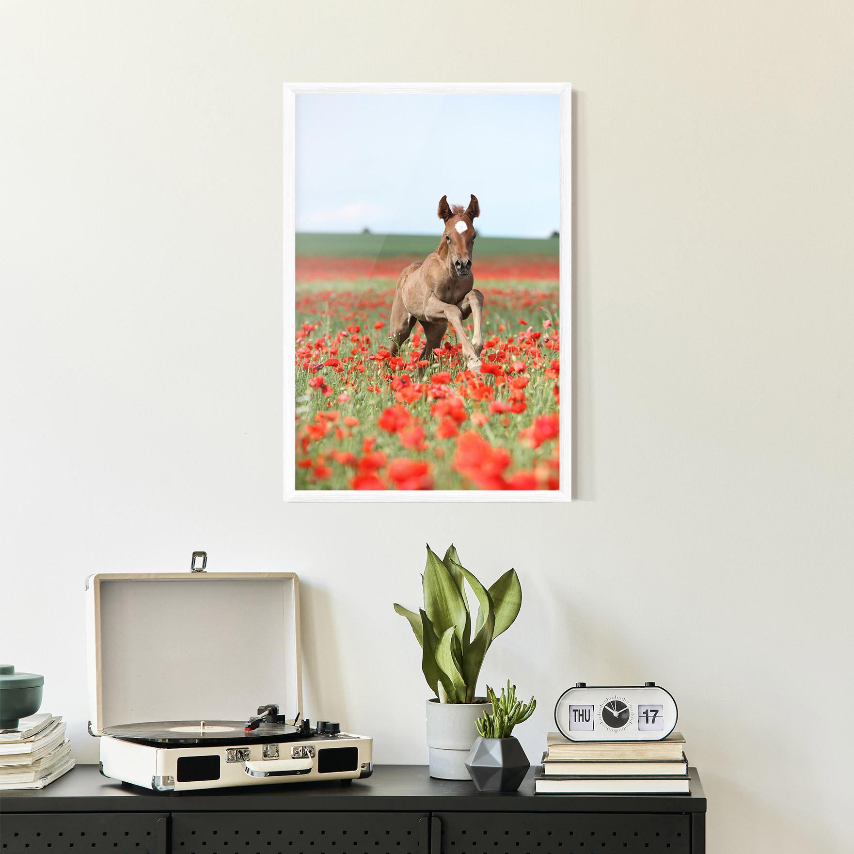 Poster Înrămat Red Flowers Horse mockup 2