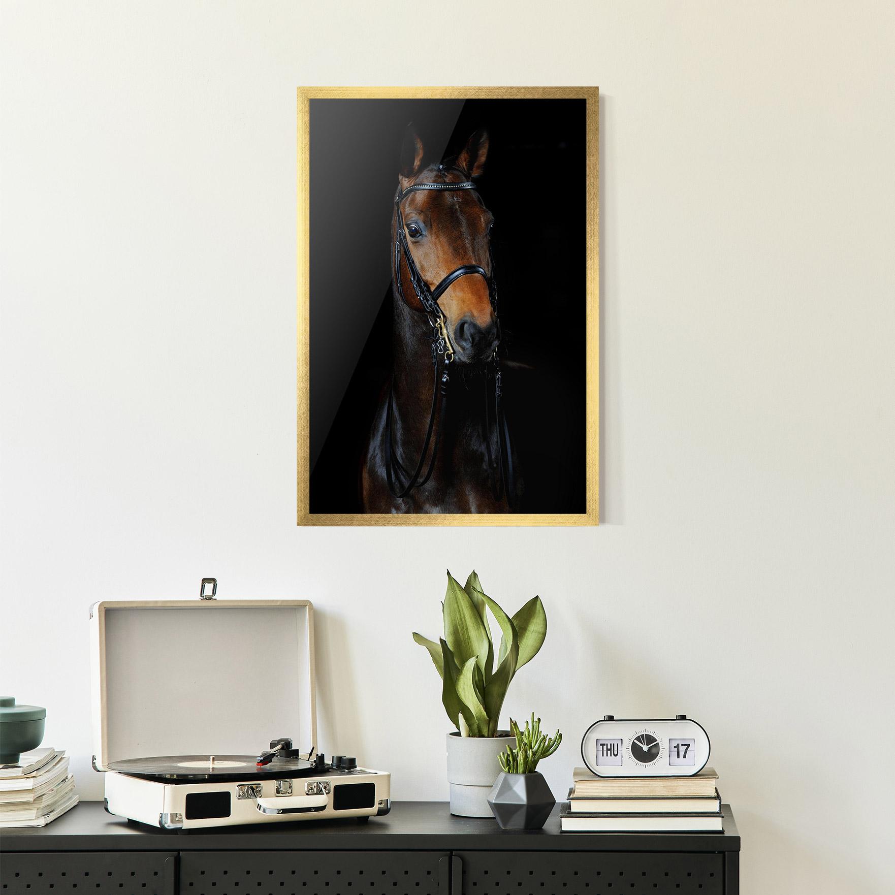 Poster Înrămat Brown Horse On Black mockup 2