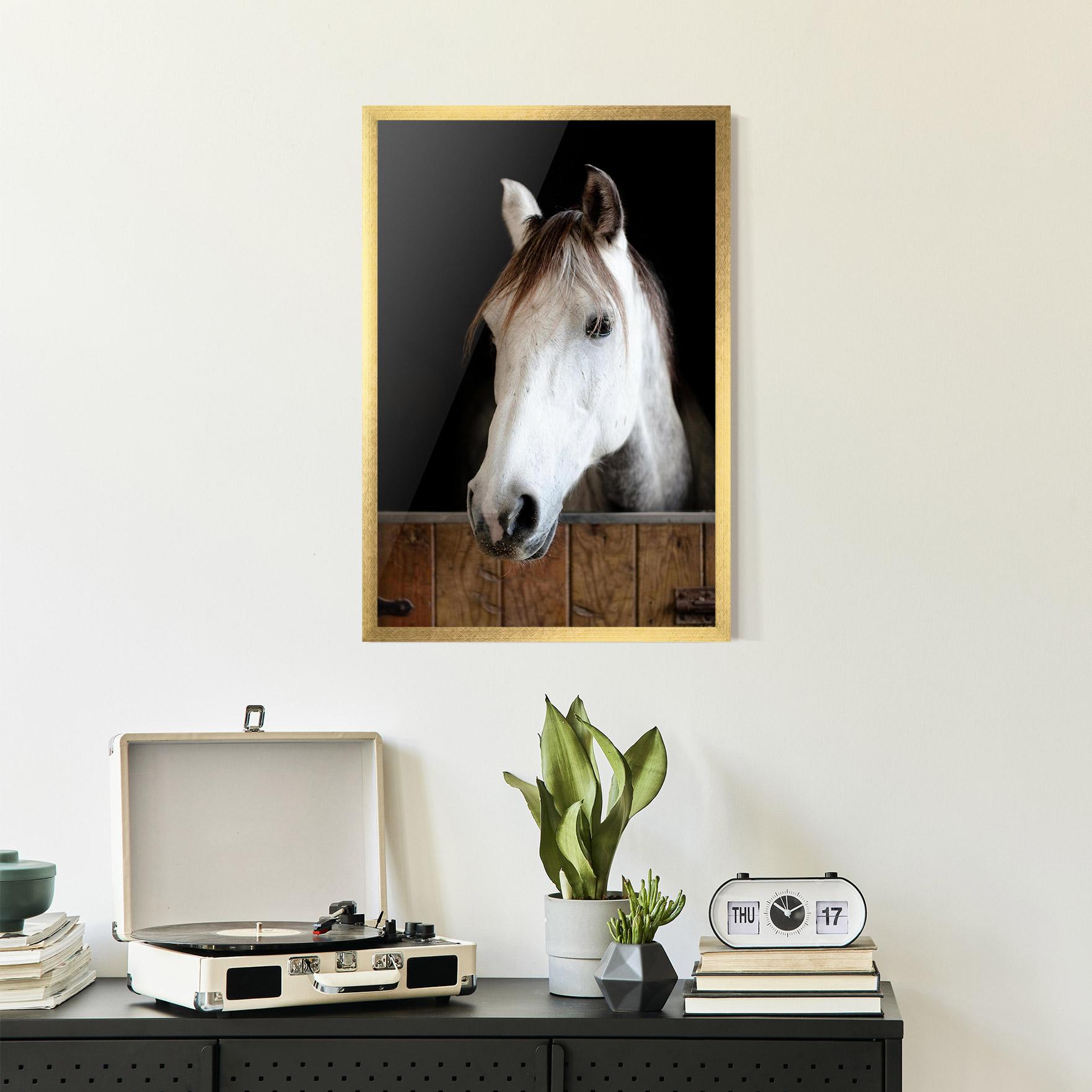 Poster Înrămat Grey Horse Head mockup 2