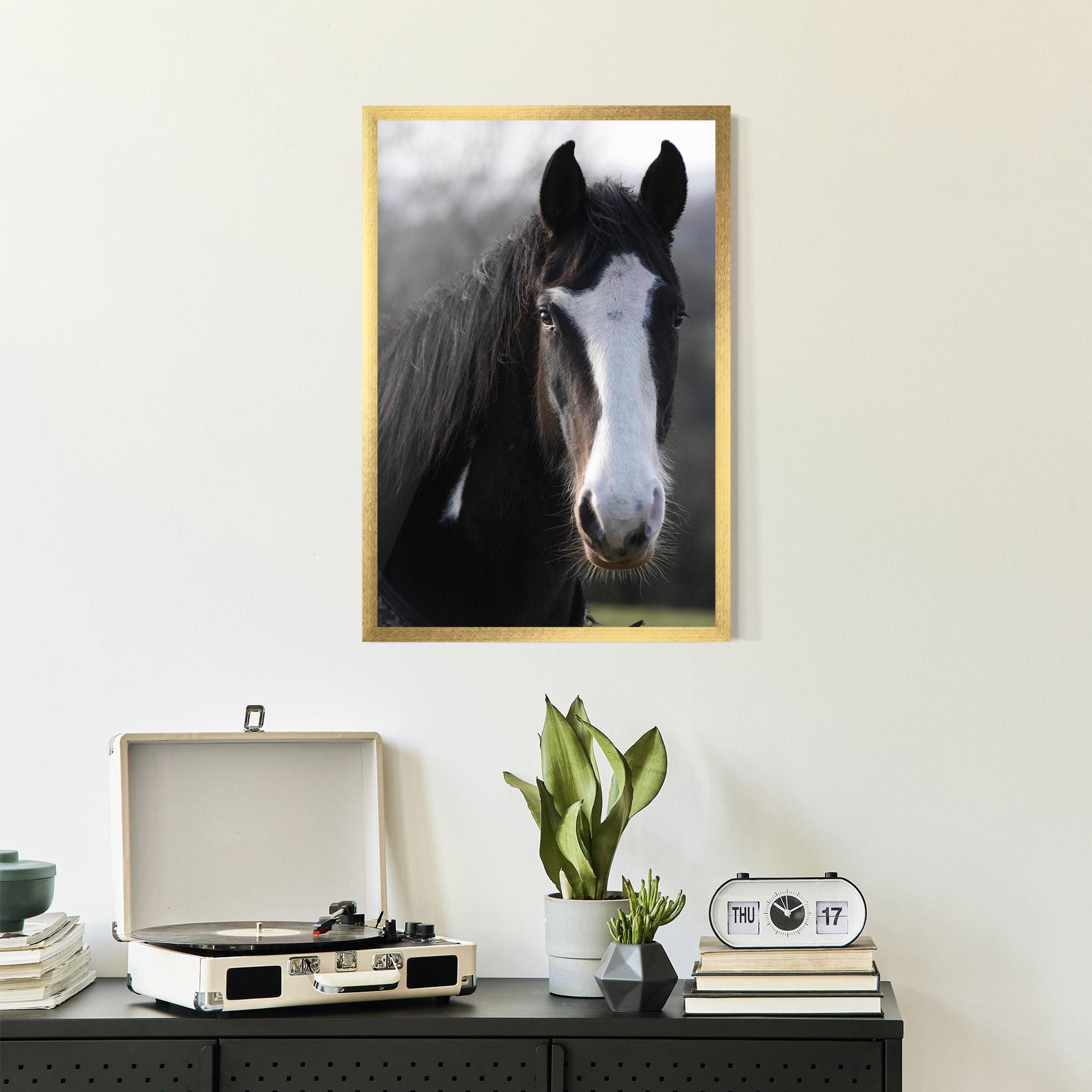Poster Înrămat Horse Black Portrait mockup 2