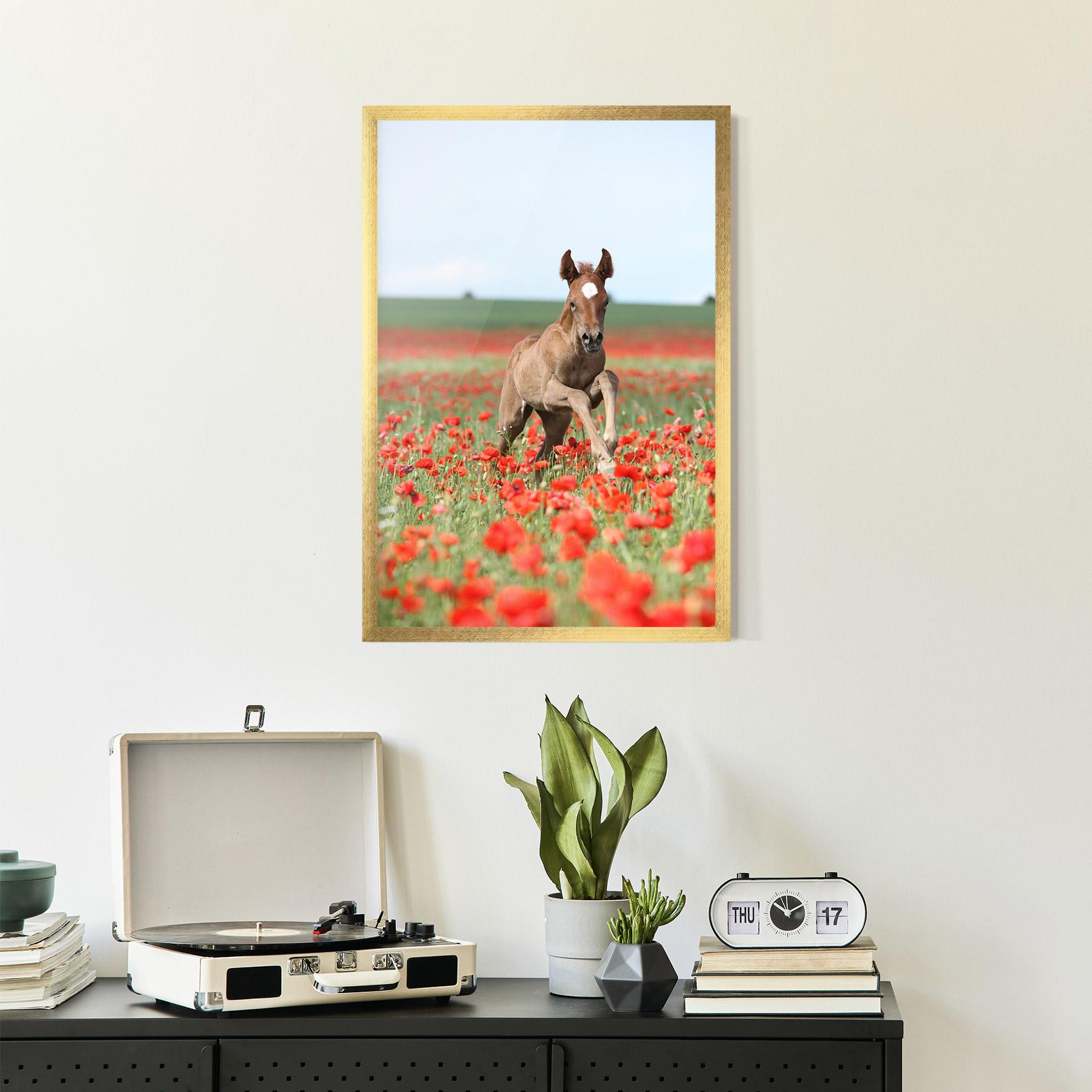 Poster Înrămat Red Flowers Horse mockup 2