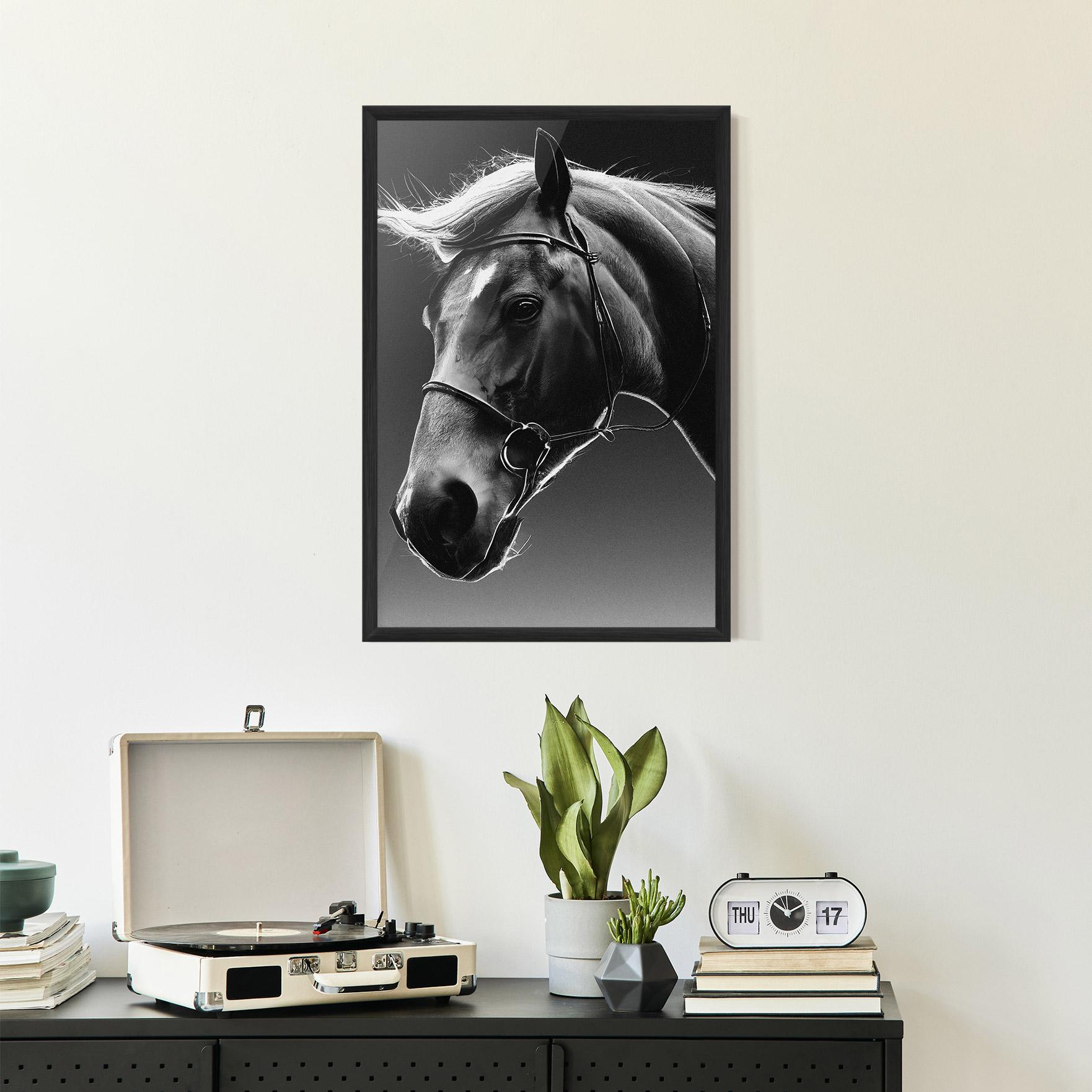 Poster Înrămat Black Horse Profile mockup 2