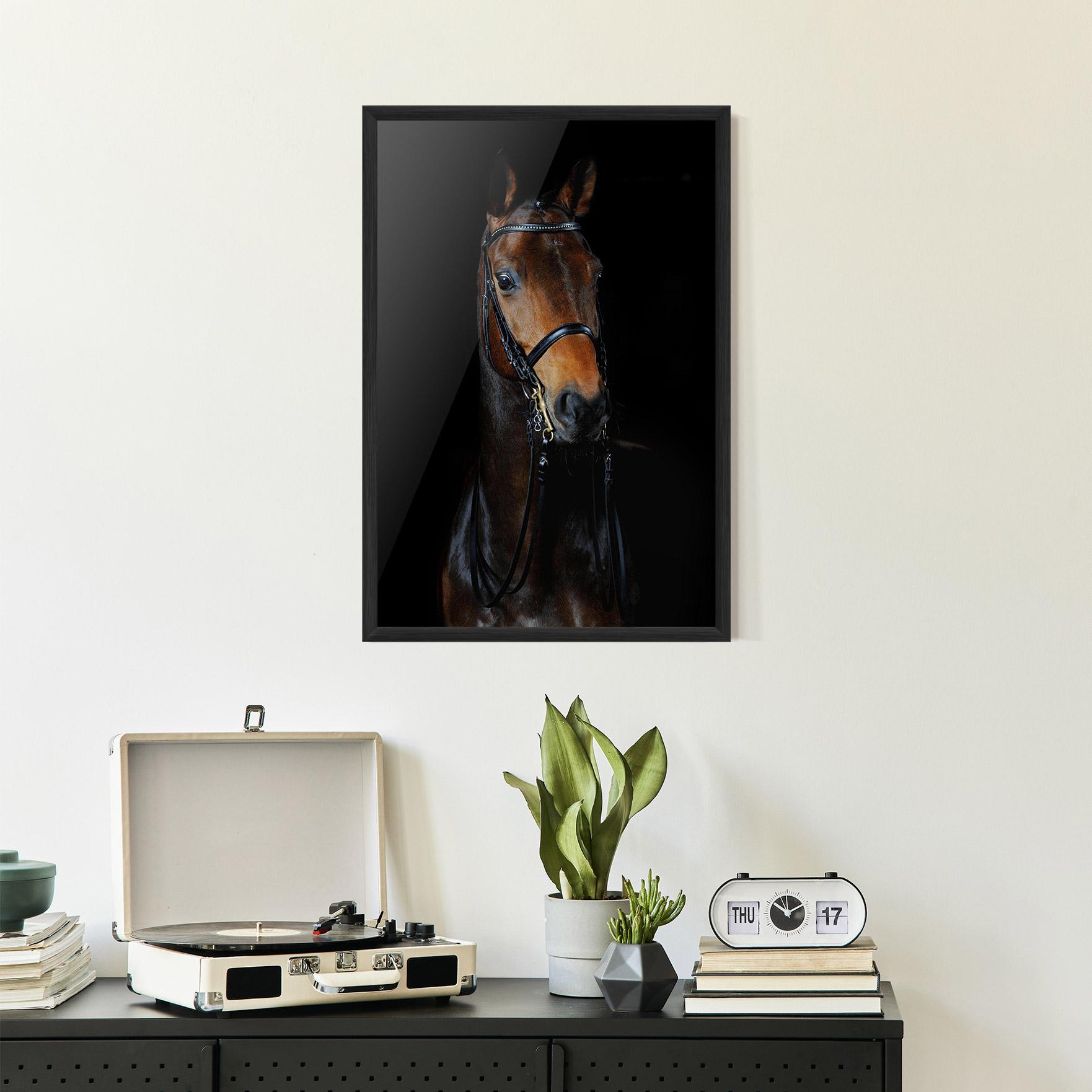 Poster Înrămat Brown Horse On Black mockup 2