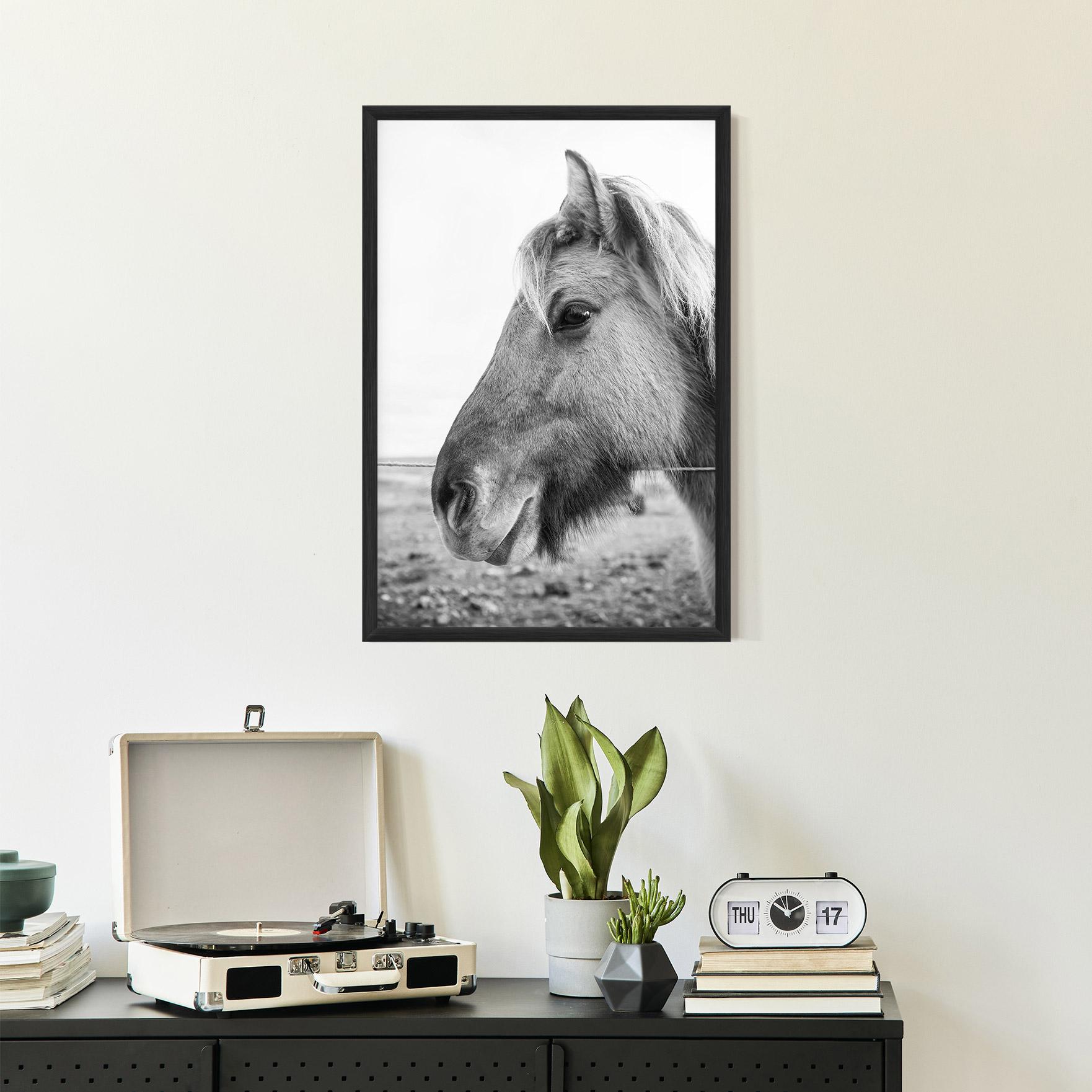 Poster Înrămat Gray Horse Head mockup 2